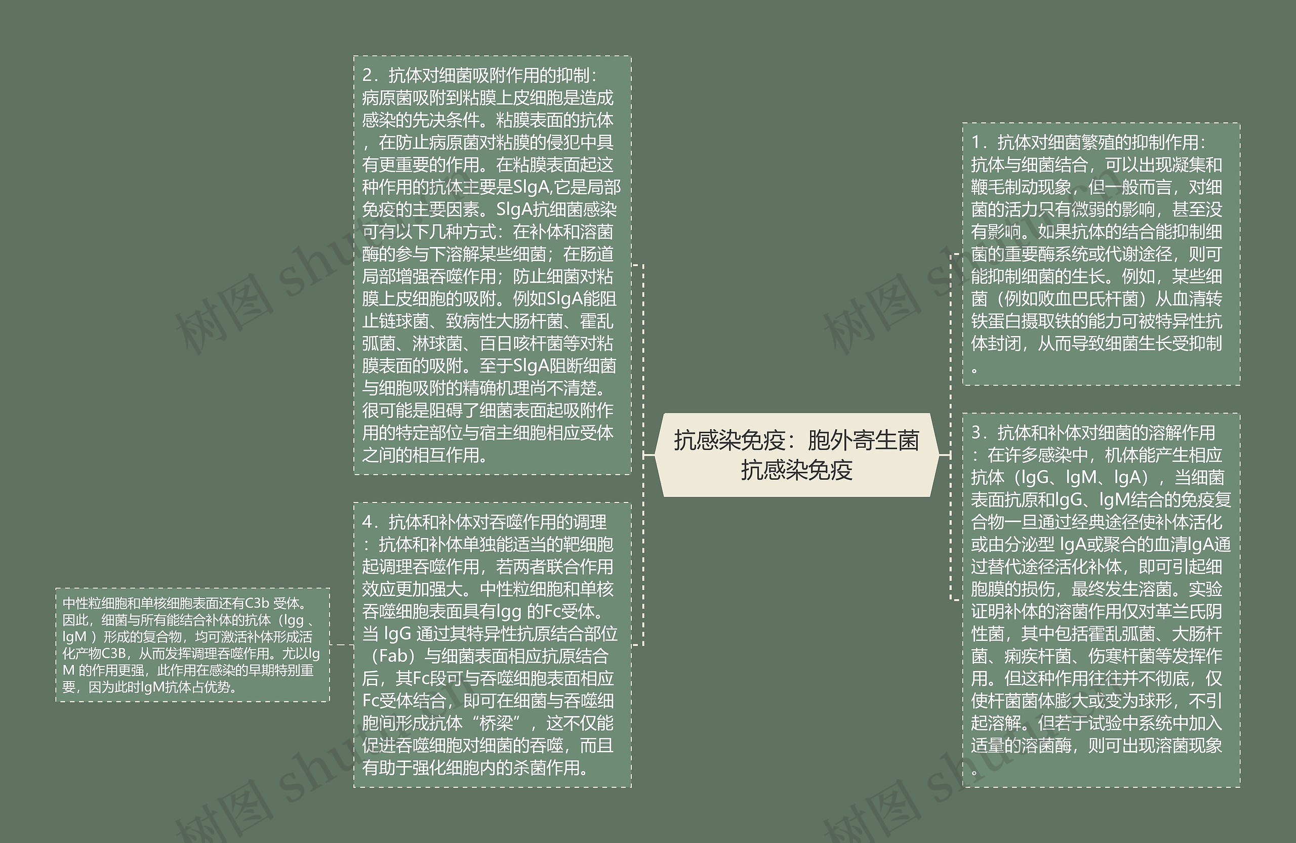 抗感染免疫：胞外寄生菌抗感染免疫思维导图