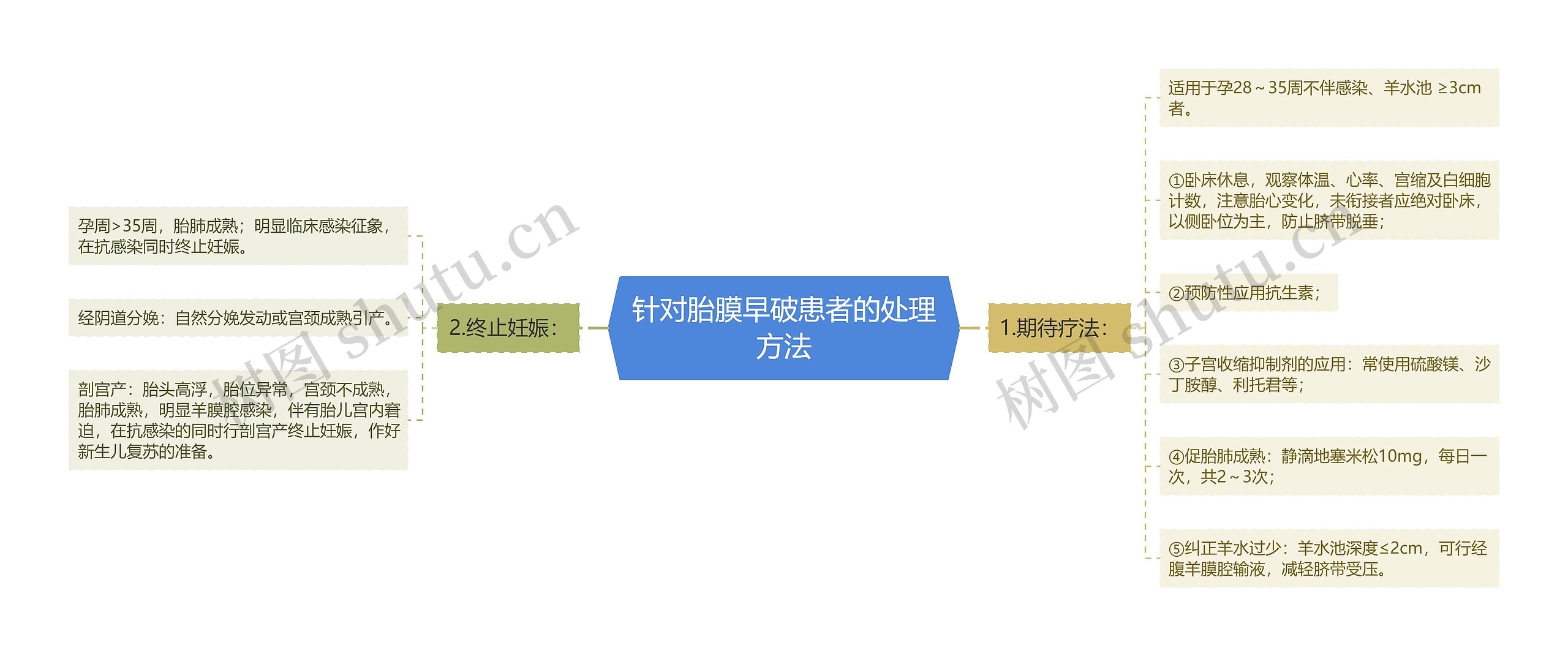 针对胎膜早破患者的处理方法思维导图