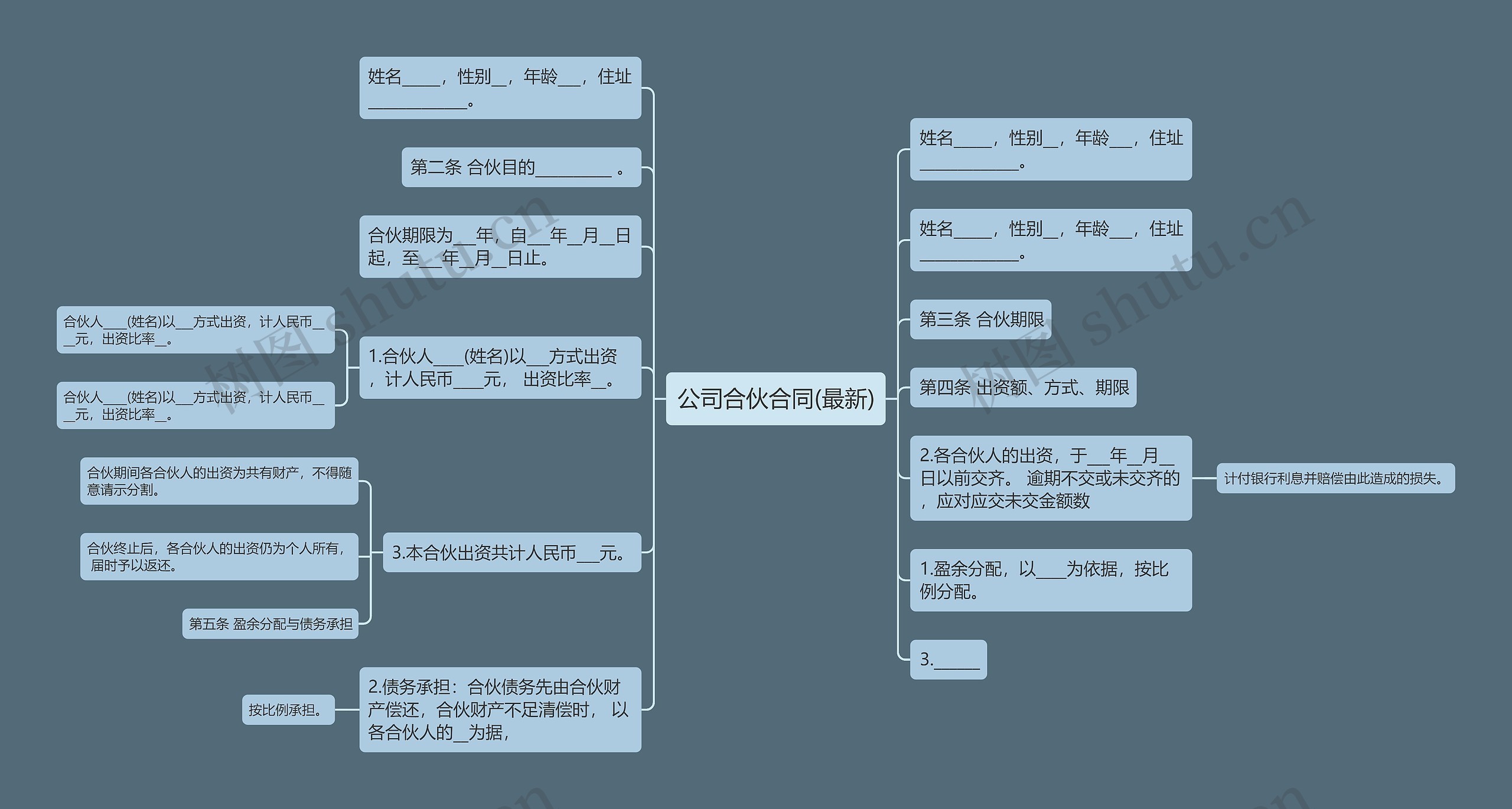 公司合伙合同(最新)