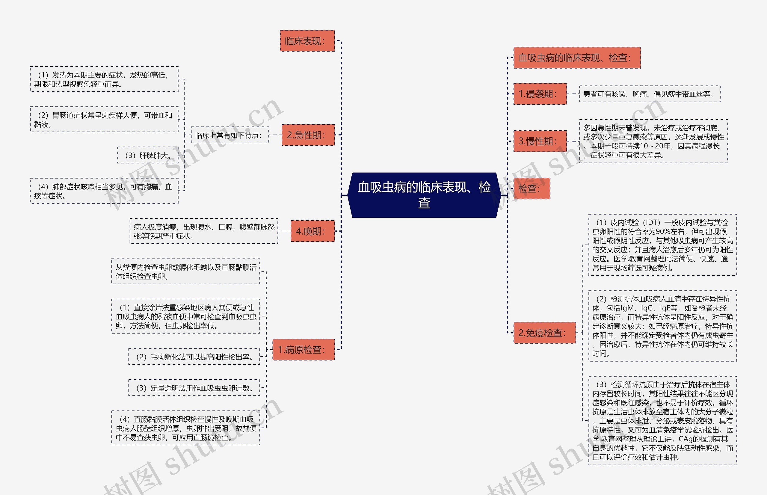 血吸虫病的临床表现、检查思维导图