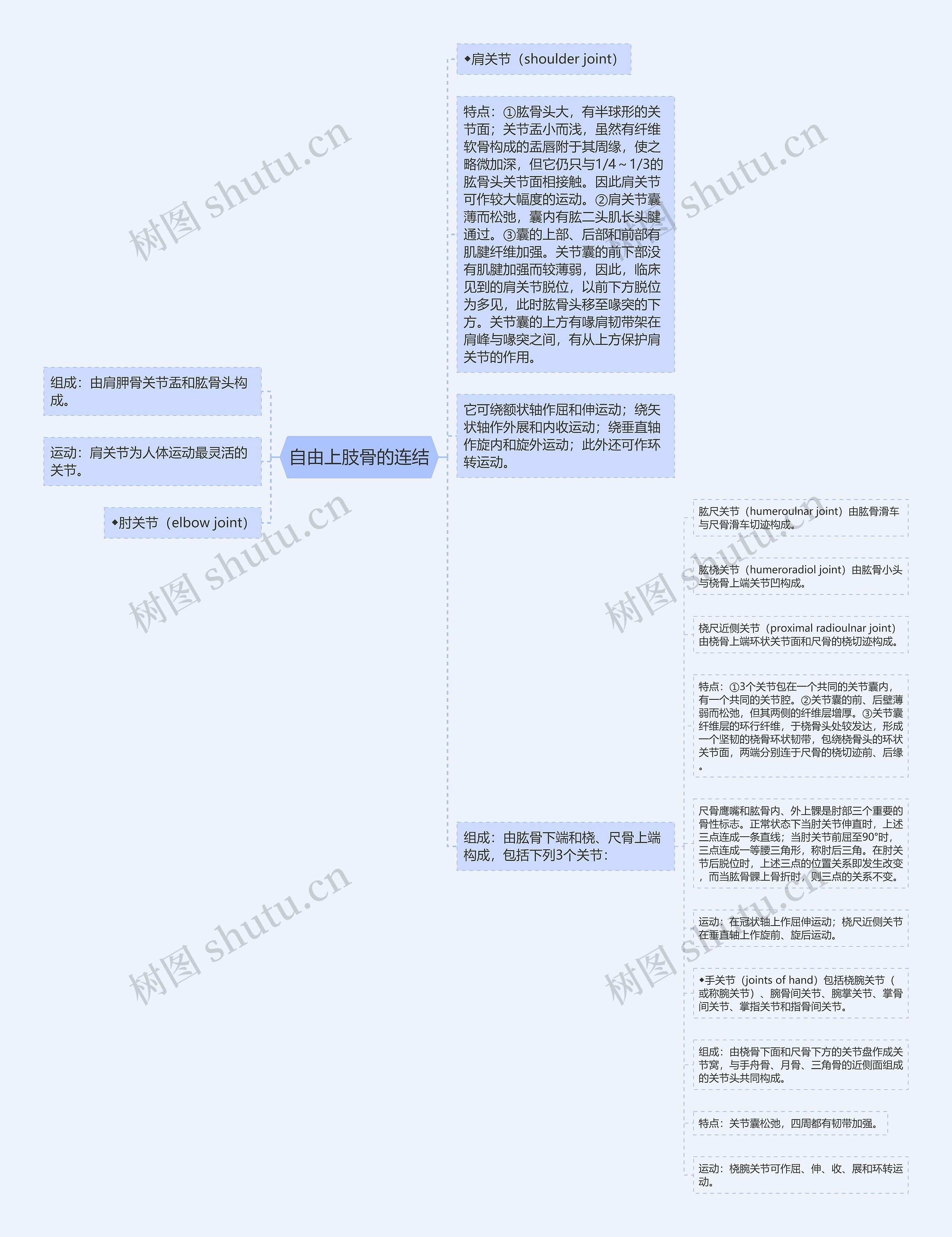 自由上肢骨的连结思维导图