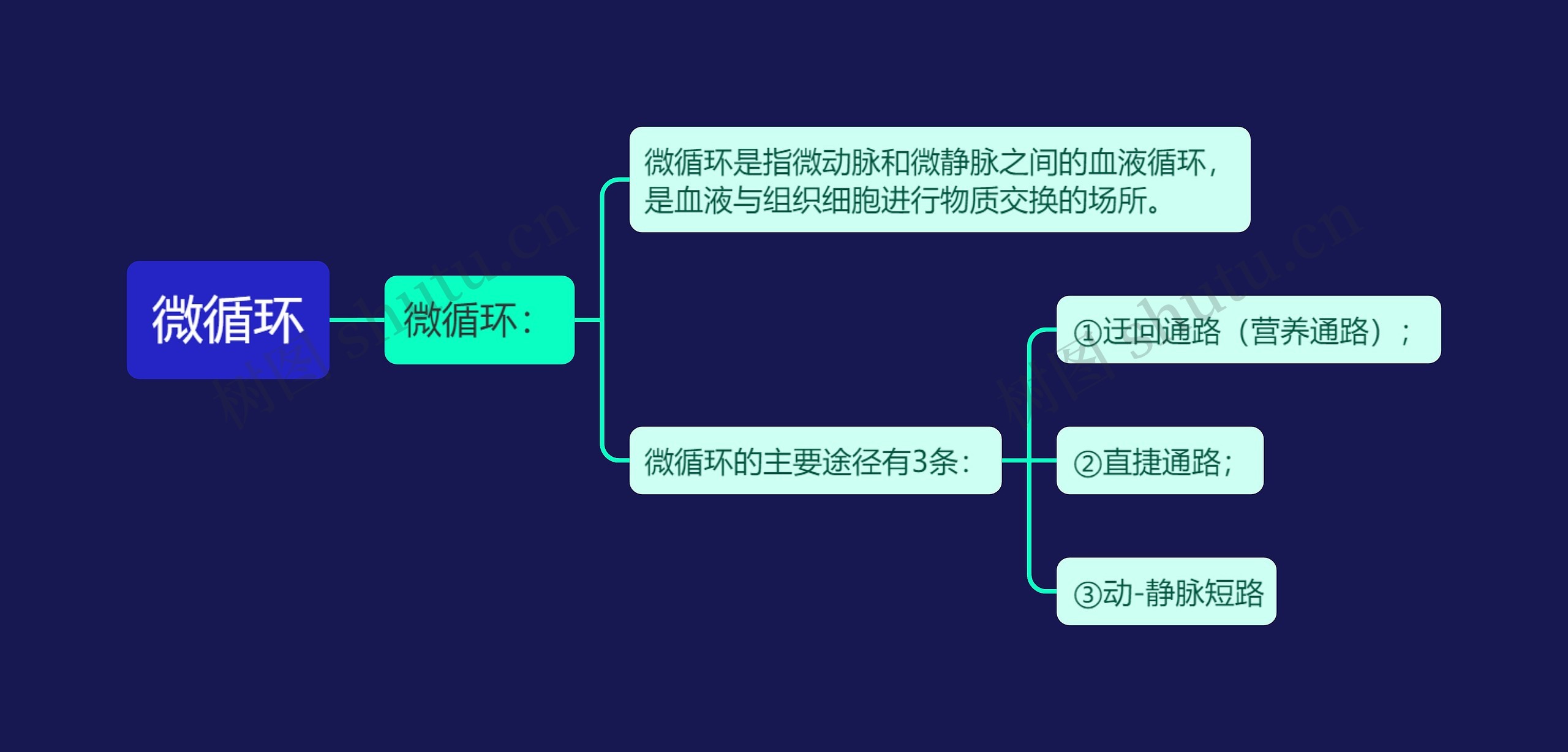 微循环