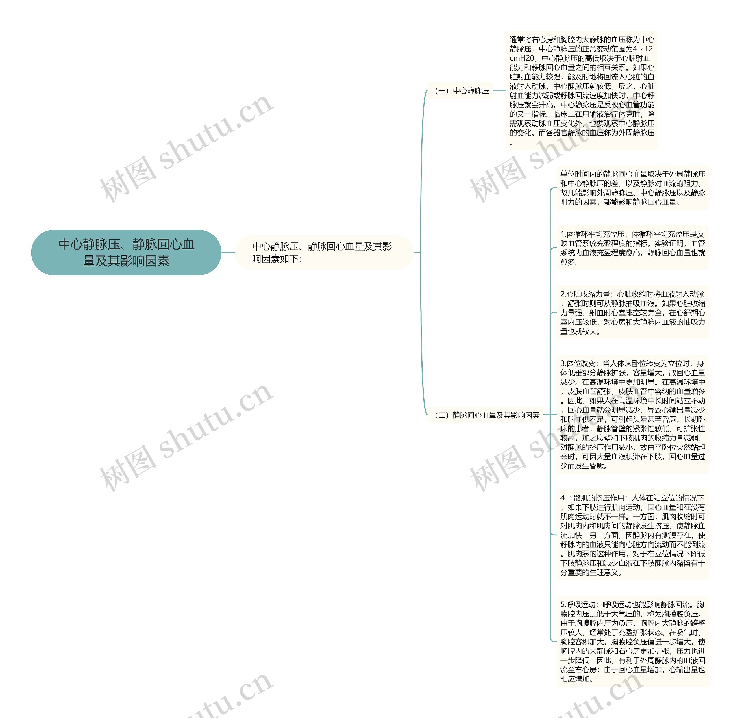 中心静脉压、静脉回心血量及其影响因素思维导图