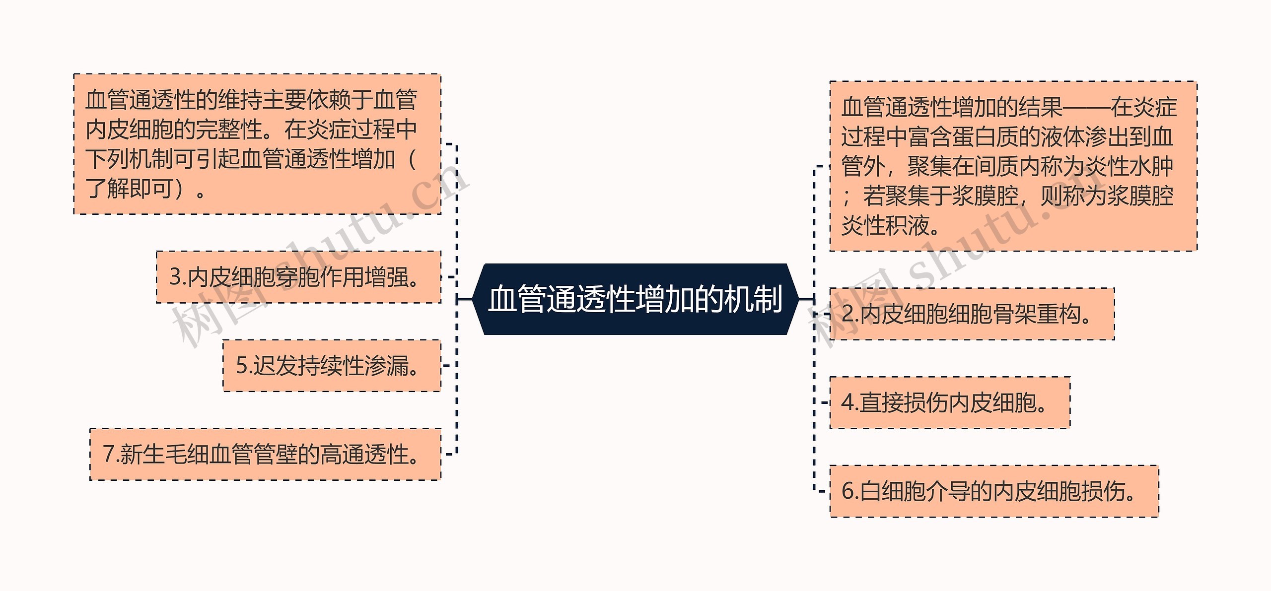 血管通透性增加的机制