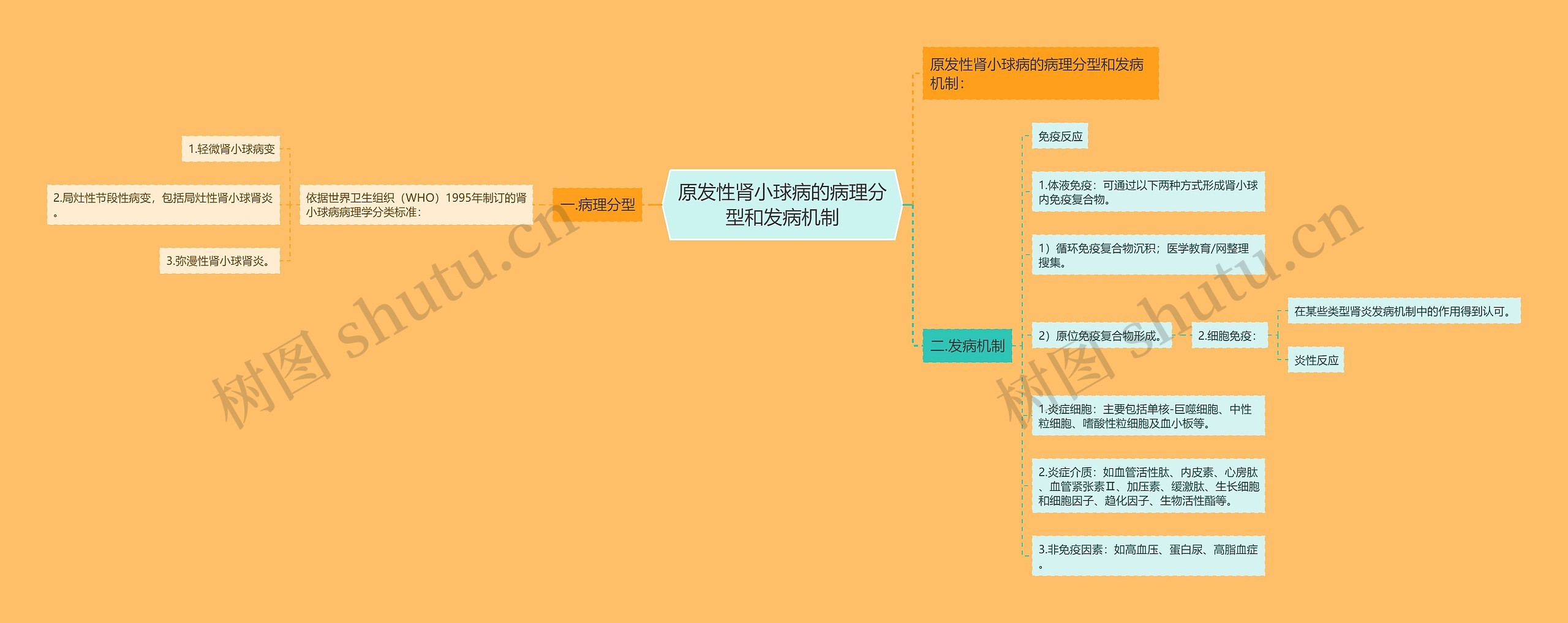 原发性肾小球病的病理分型和发病机制