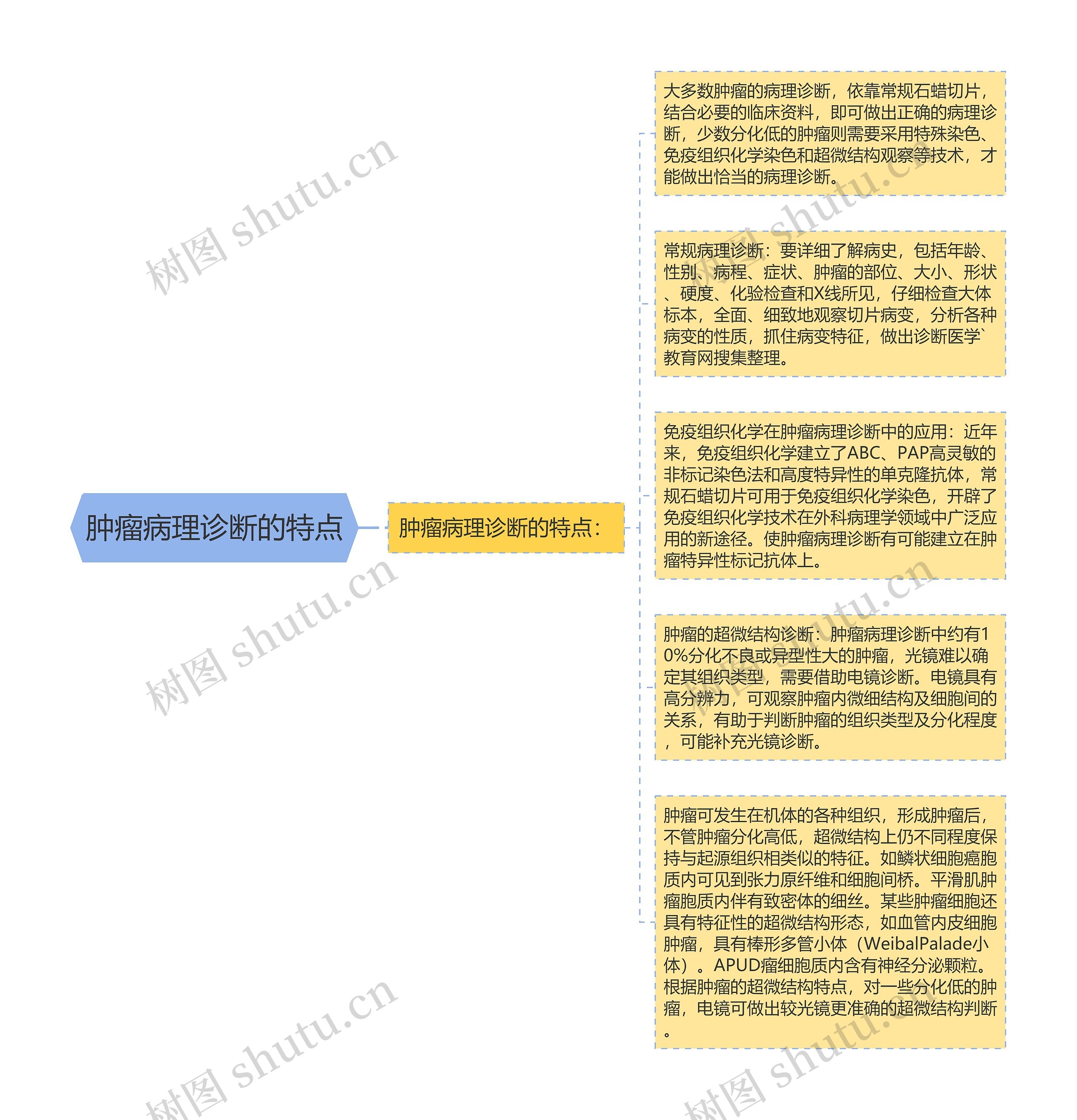 肿瘤病理诊断的特点思维导图