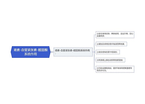 肾素-血管紧张素-醛固酮系统作用