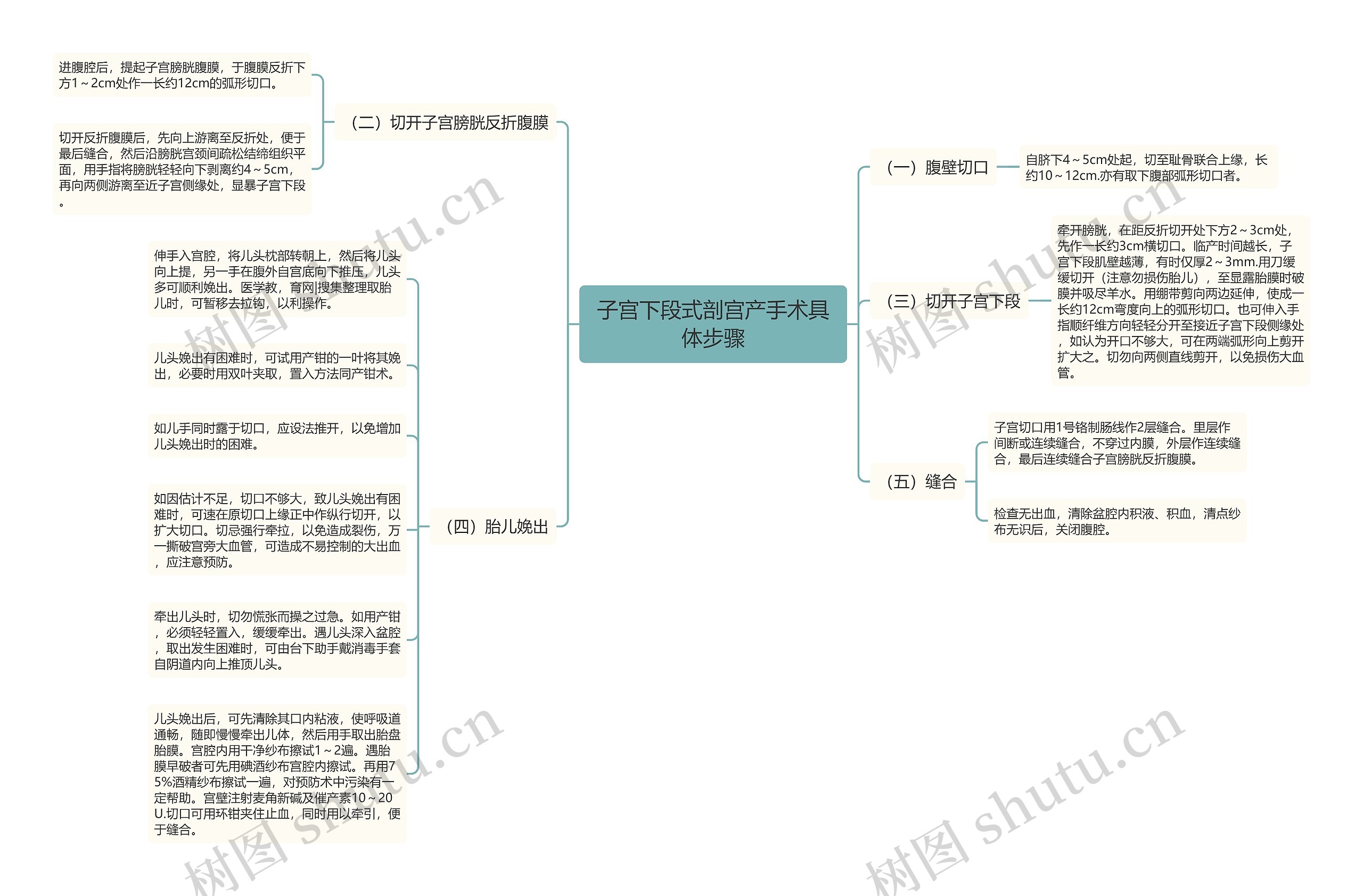 子宫下段式剖宫产手术具体步骤