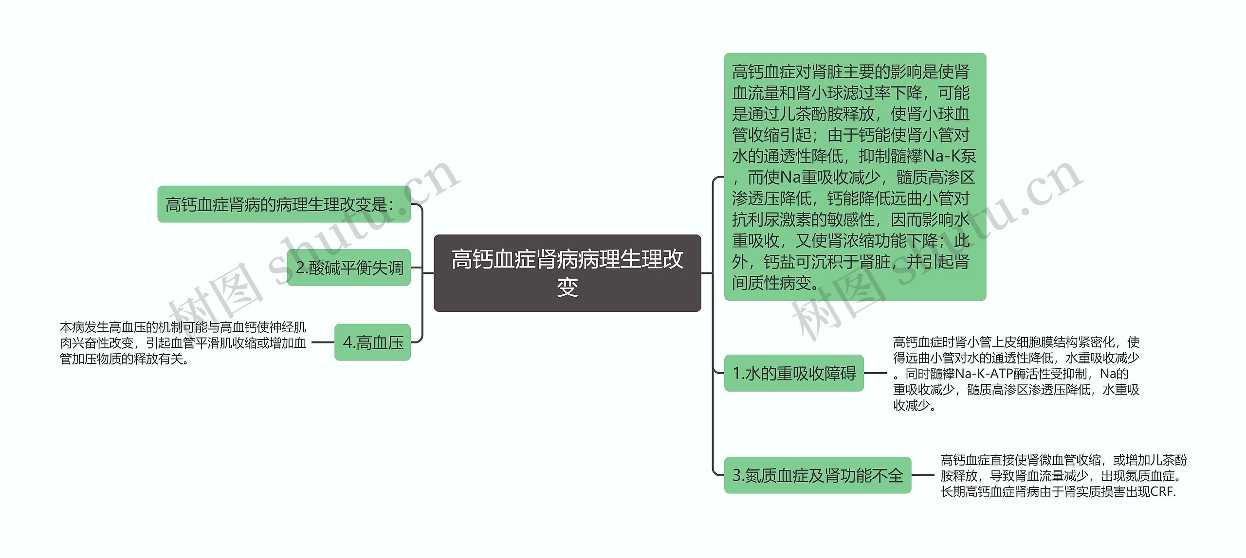 高钙血症肾病病理生理改变