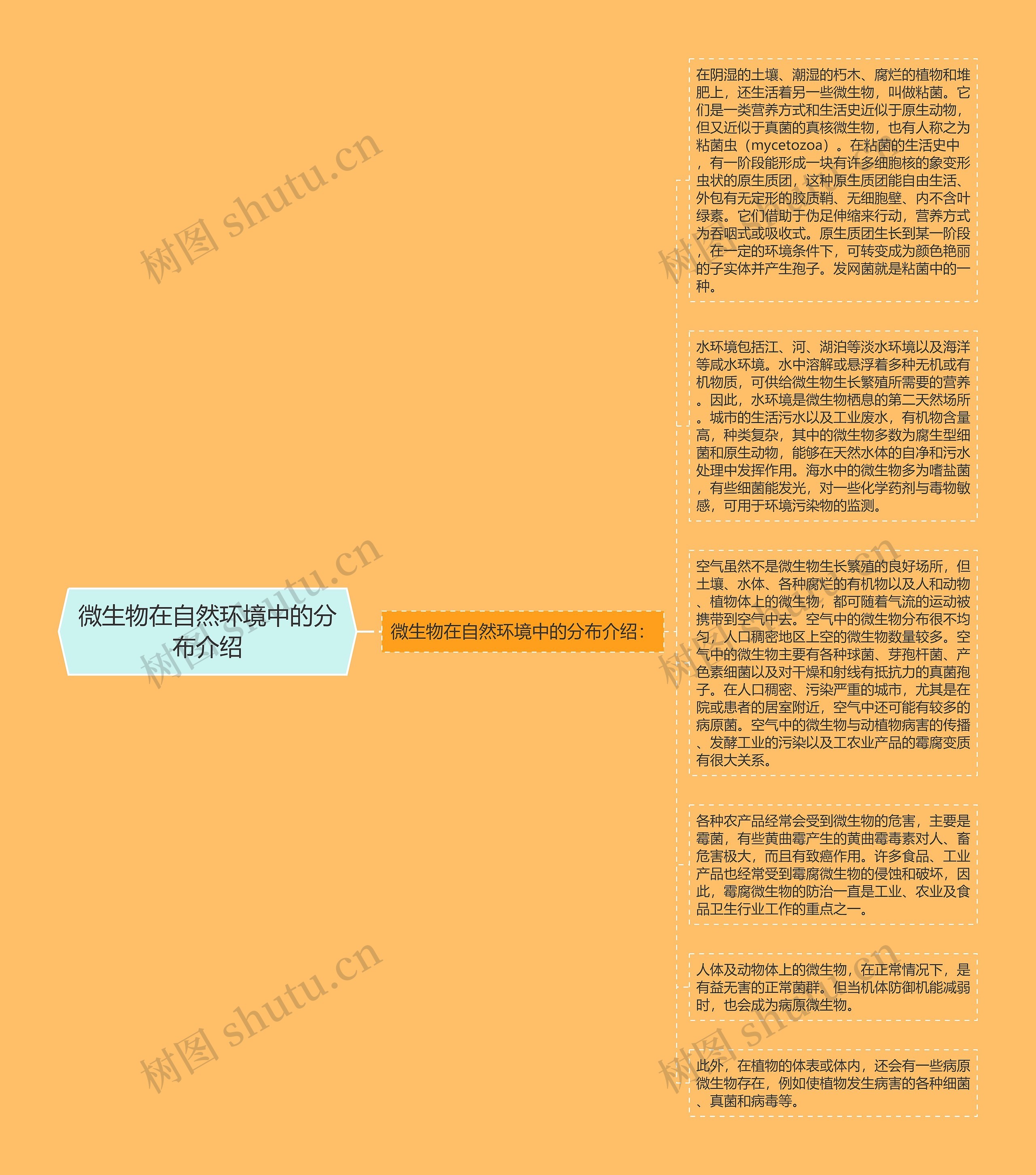 微生物在自然环境中的分布介绍思维导图