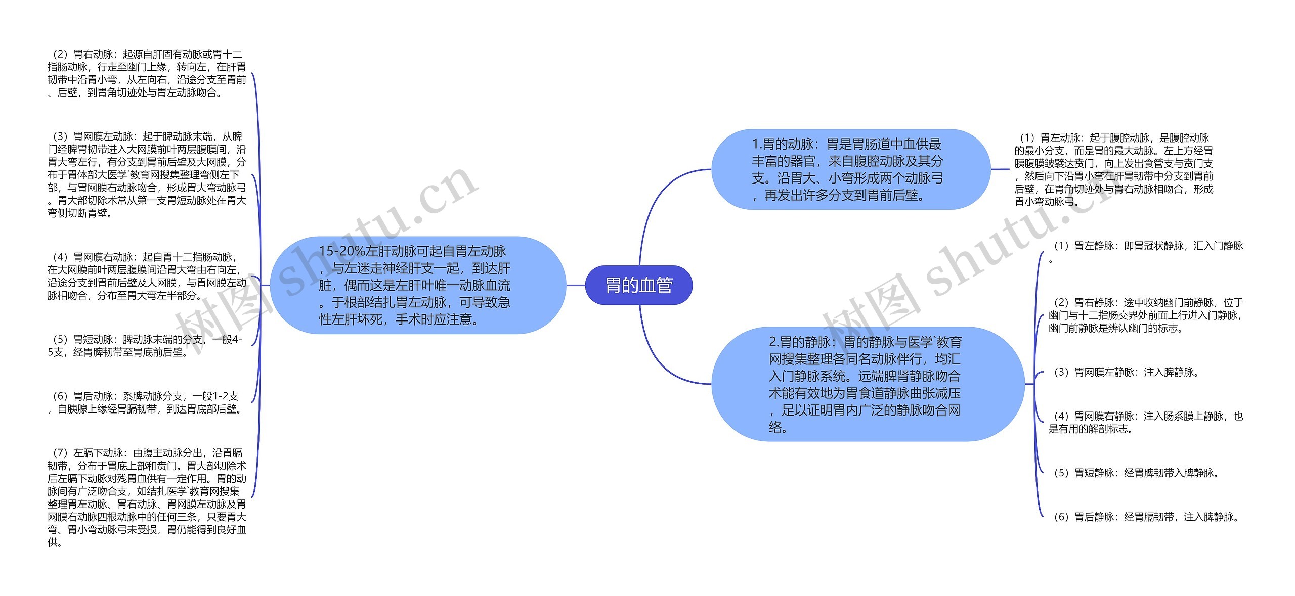 胃的血管思维导图