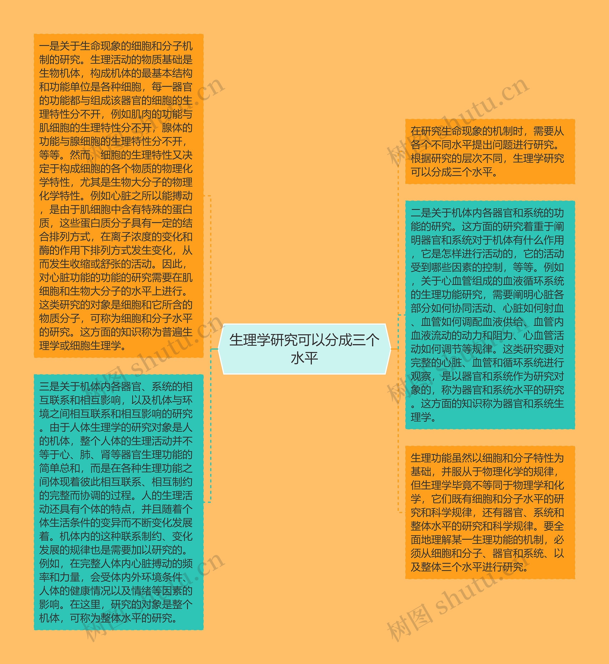 生理学研究可以分成三个水平思维导图