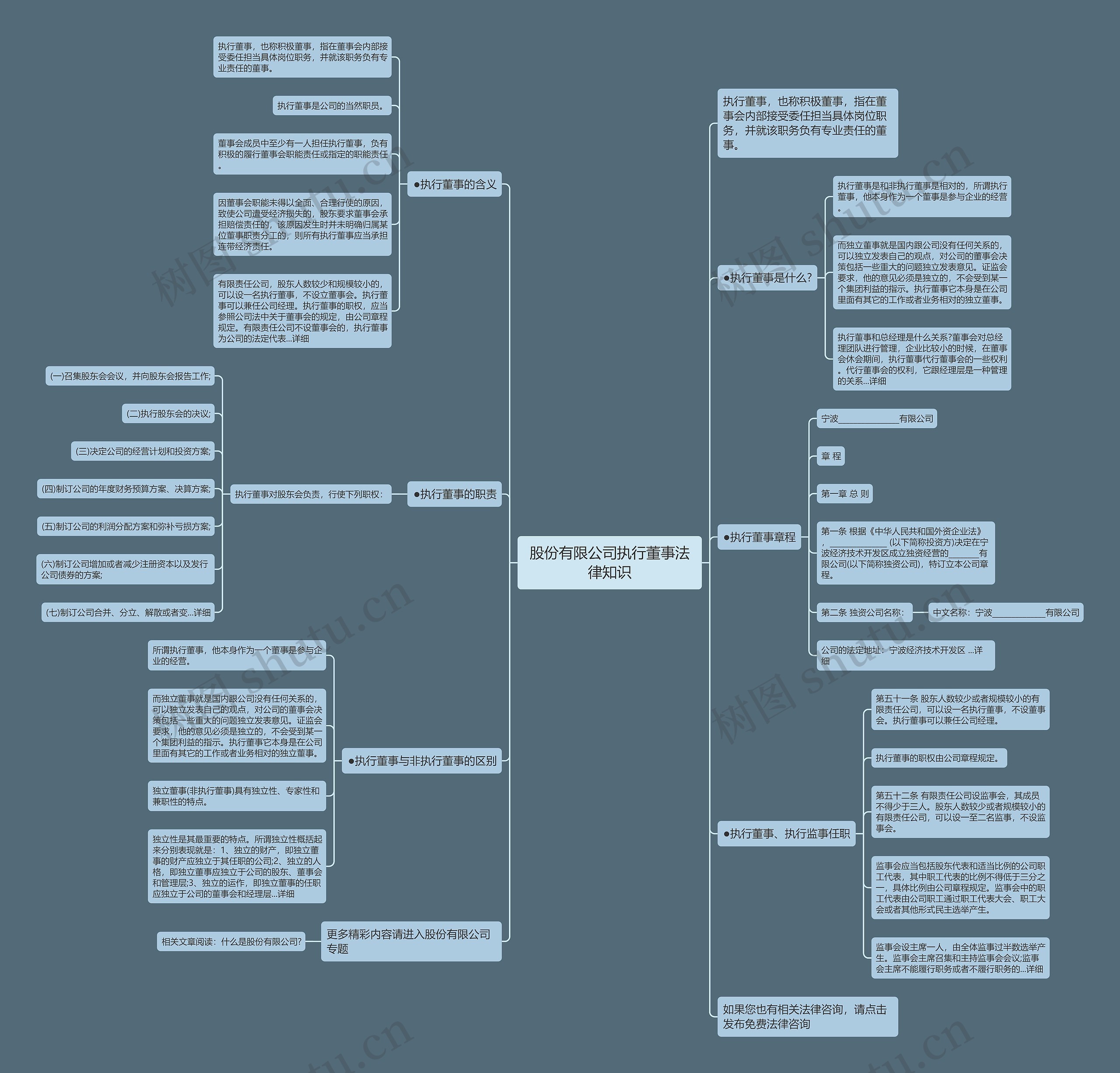 股份有限公司执行董事法律知识思维导图