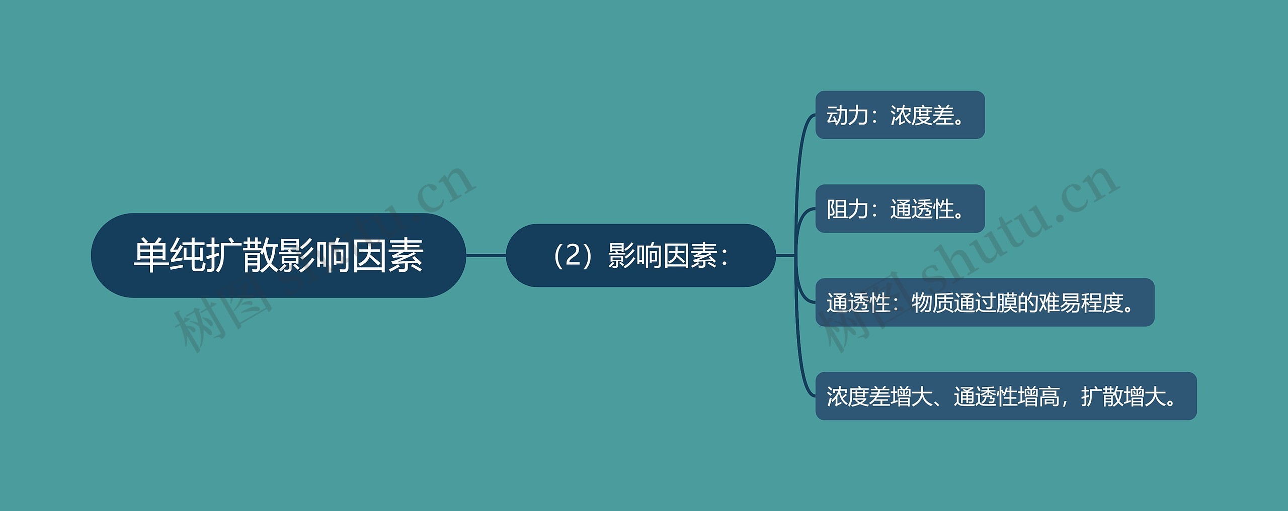 单纯扩散影响因素思维导图