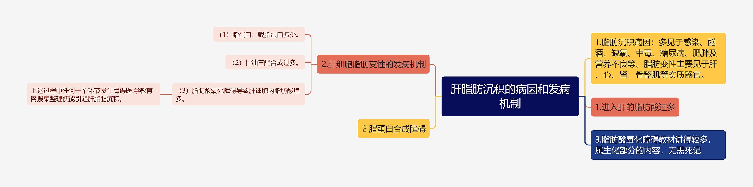 肝脂肪沉积的病因和发病机制思维导图