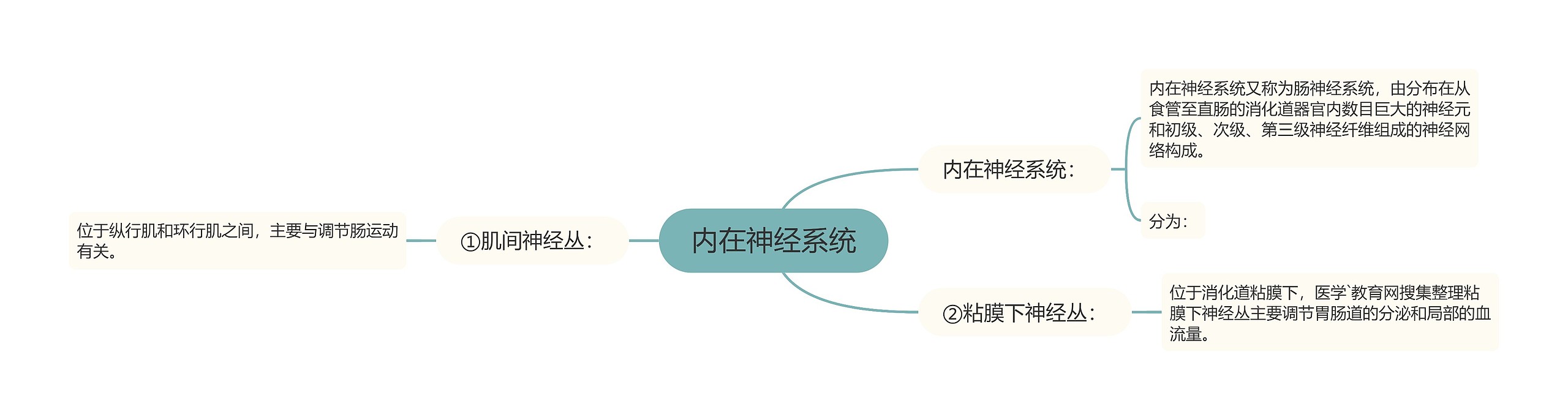 内在神经系统思维导图