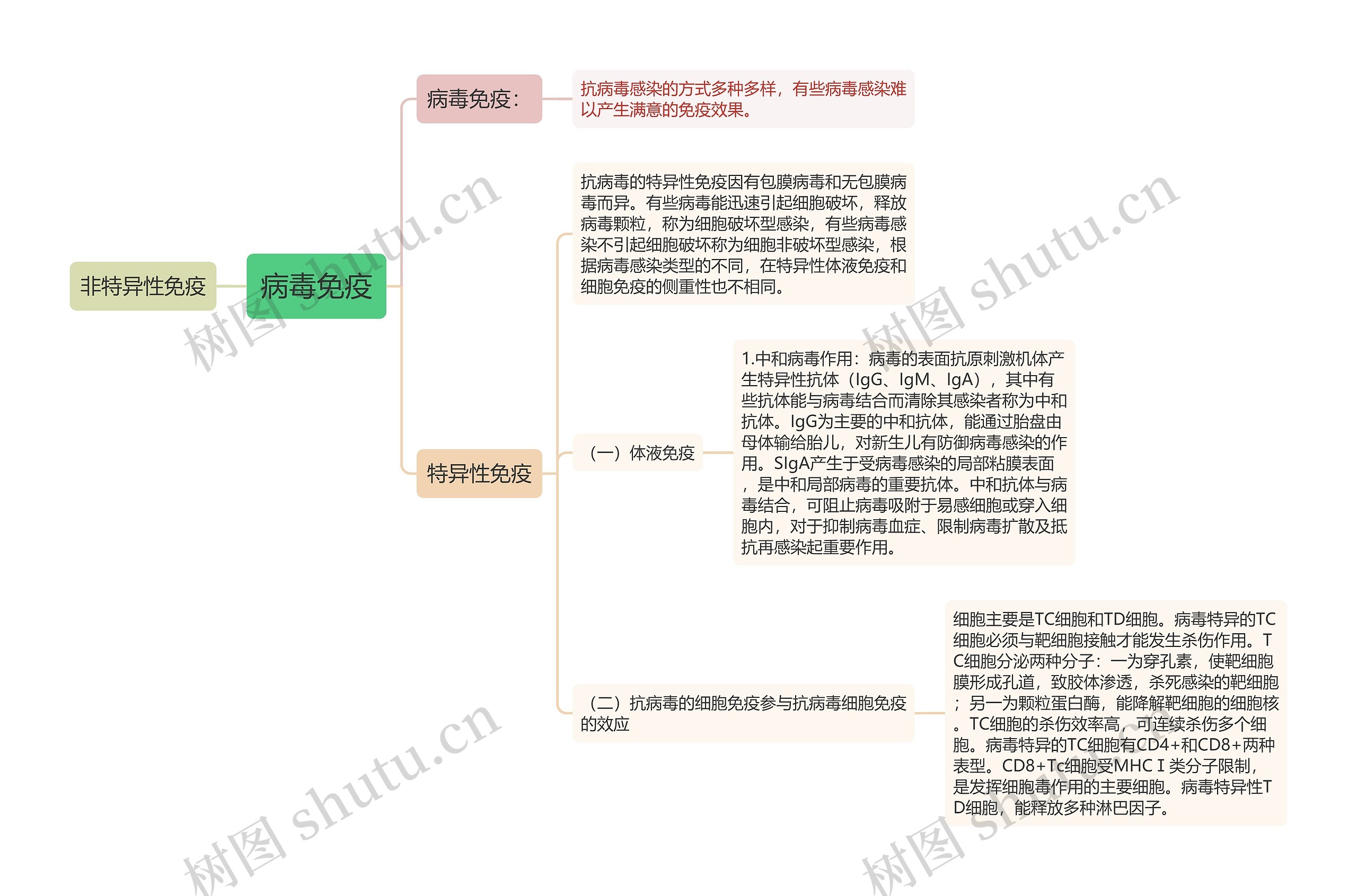 病毒免疫思维导图