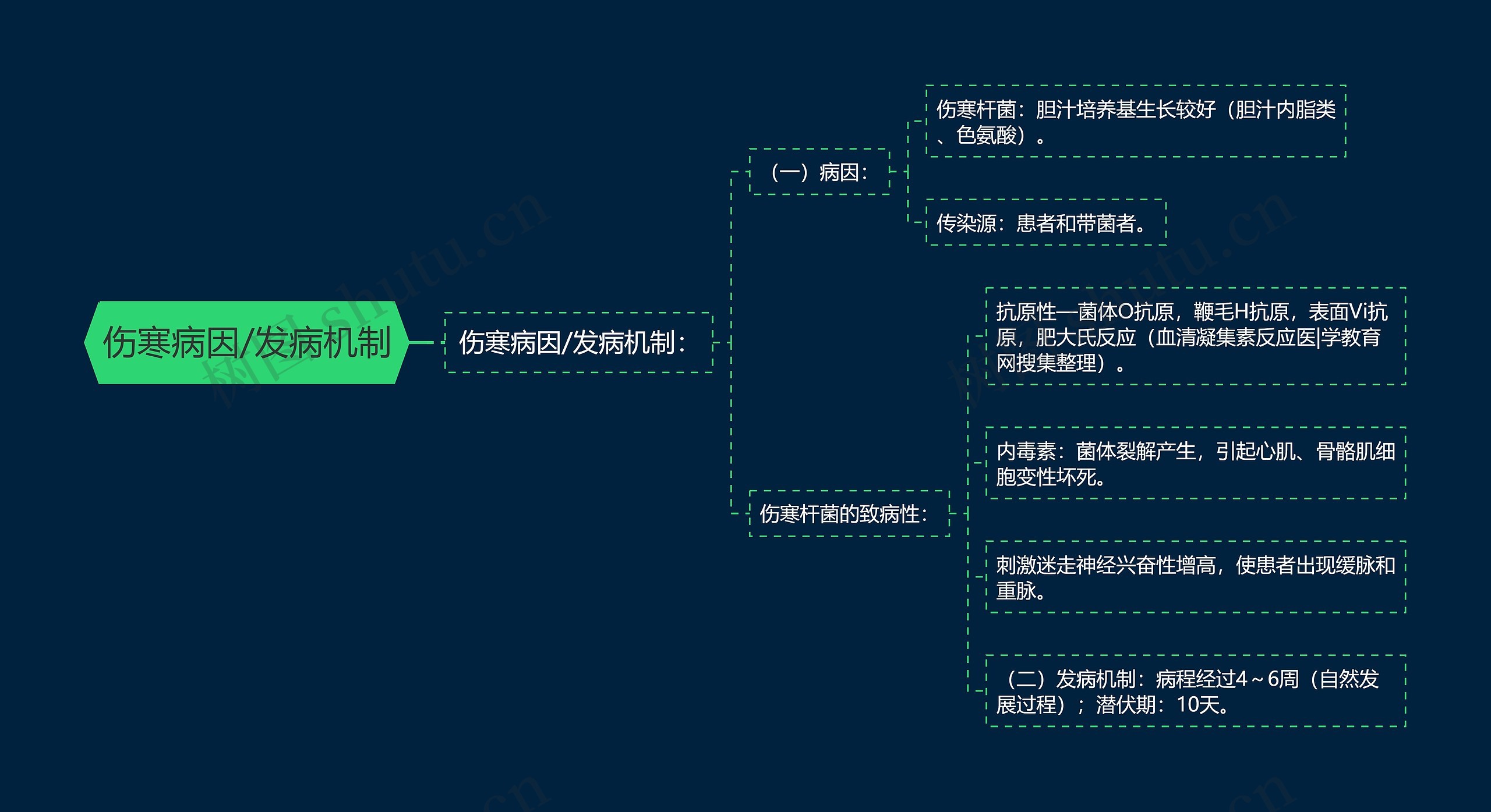 伤寒病因/发病机制 伤寒病因/发病机制