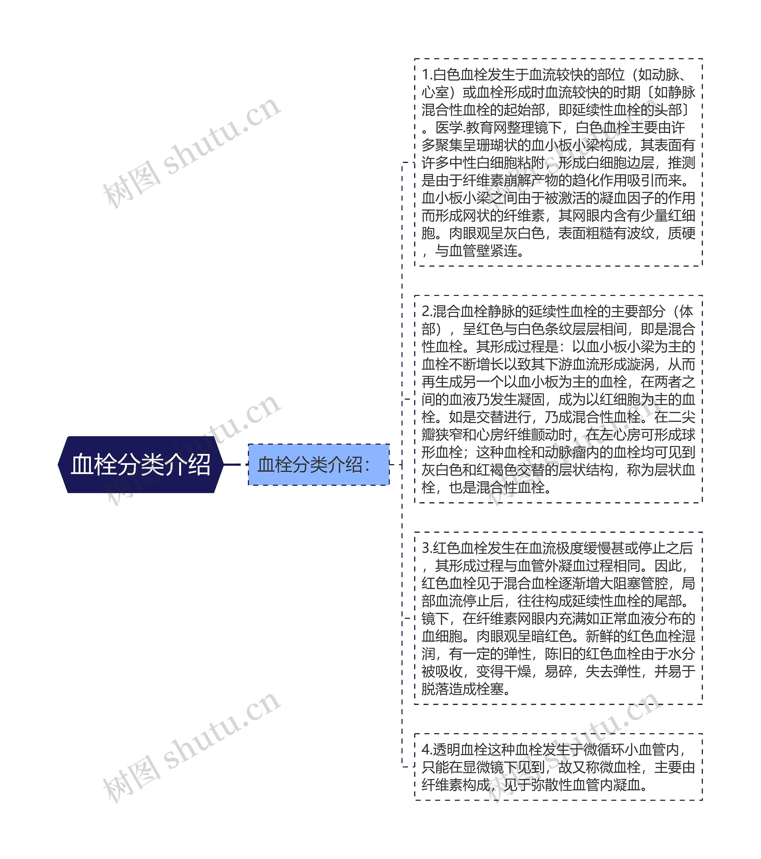 血栓分类介绍