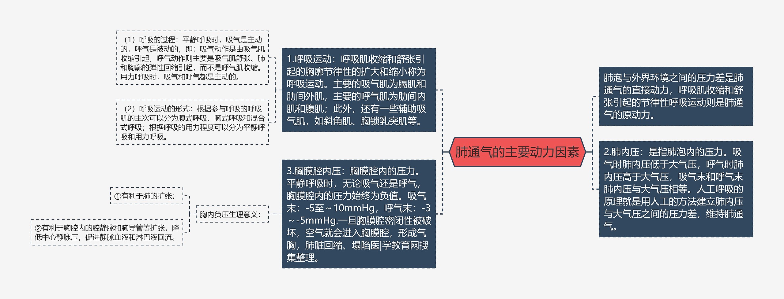 肺通气的主要动力因素思维导图