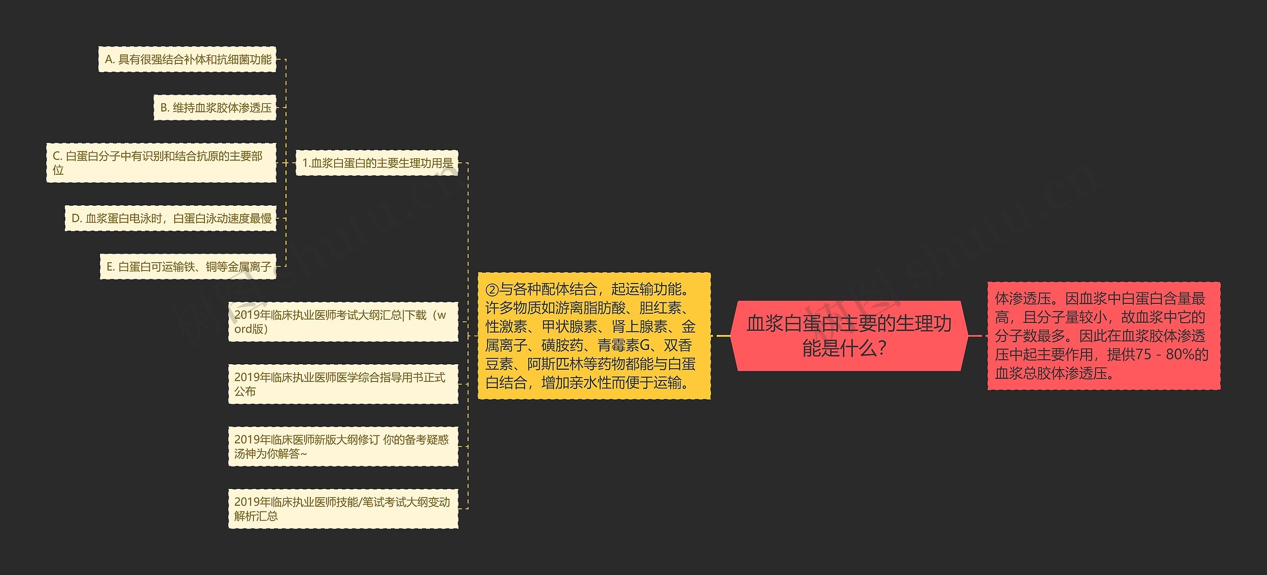 血浆白蛋白主要的生理功能是什么？思维导图