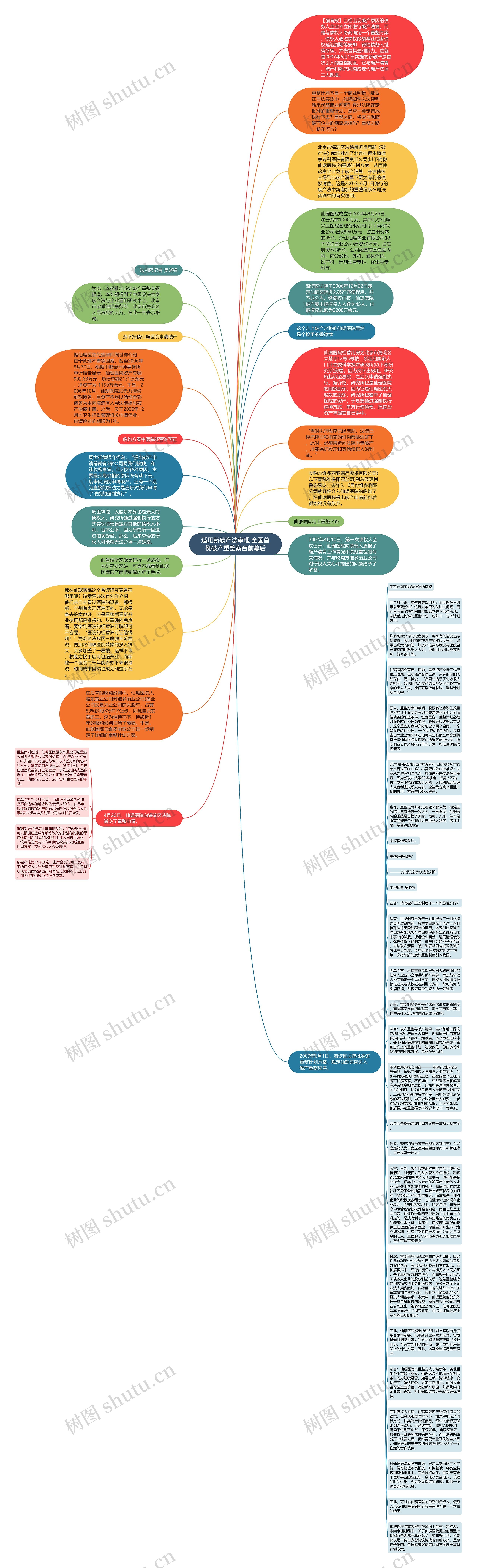 适用新破产法审理 全国首例破产重整案台前幕后思维导图