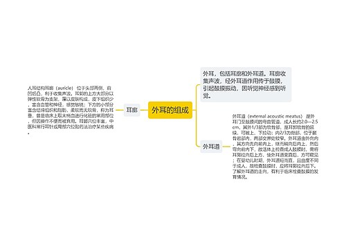 外耳的组成