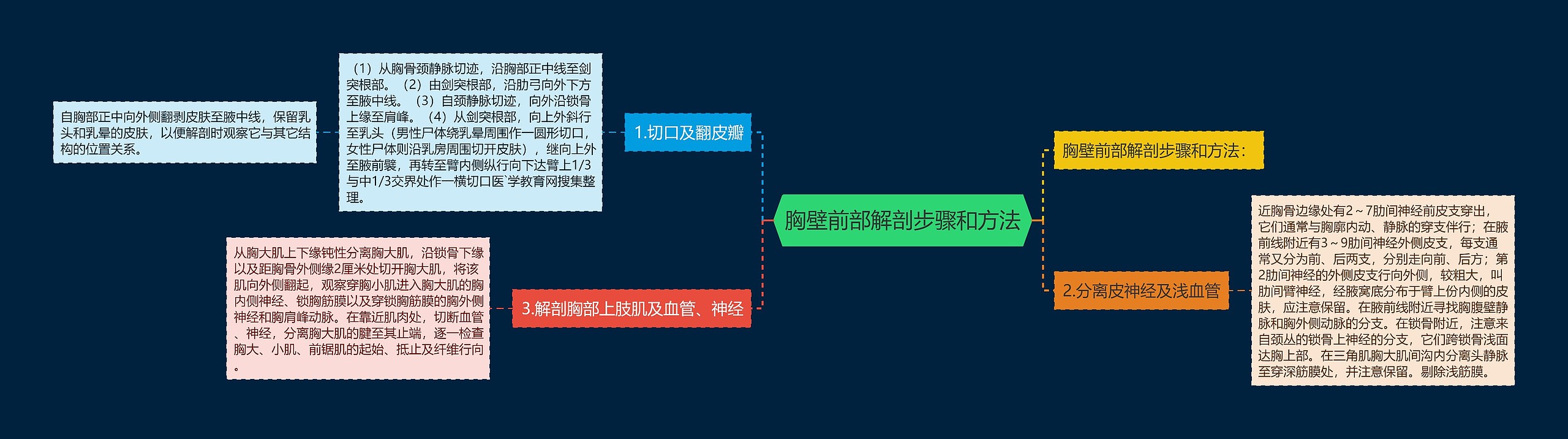 胸壁前部解剖步骤和方法思维导图