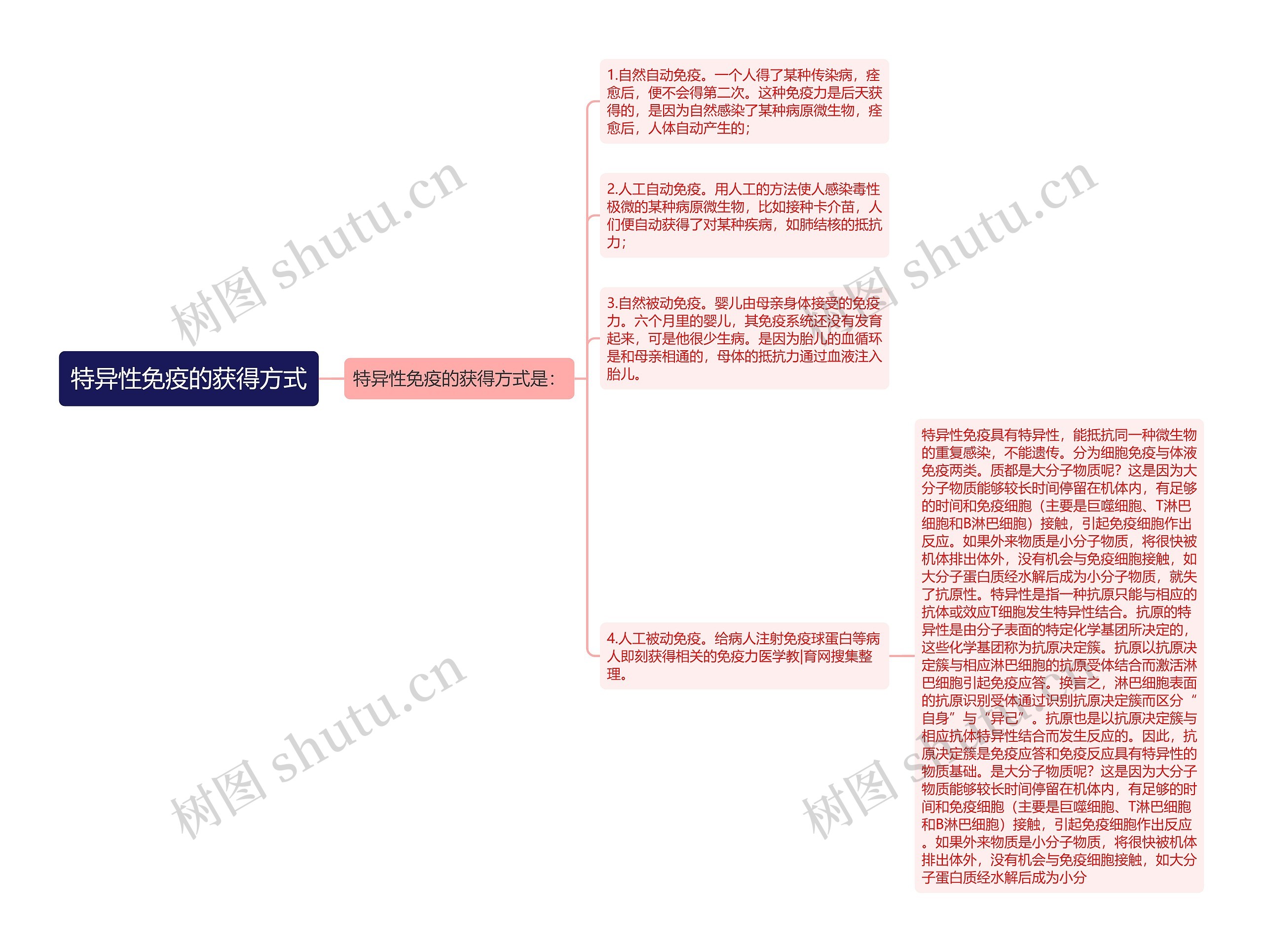 特异性免疫的获得方式思维导图