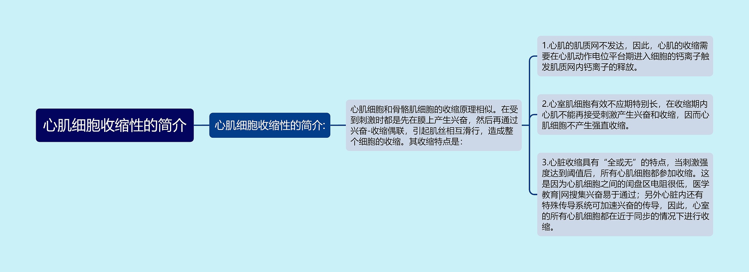 心肌细胞收缩性的简介 心肌细胞收缩性的简介