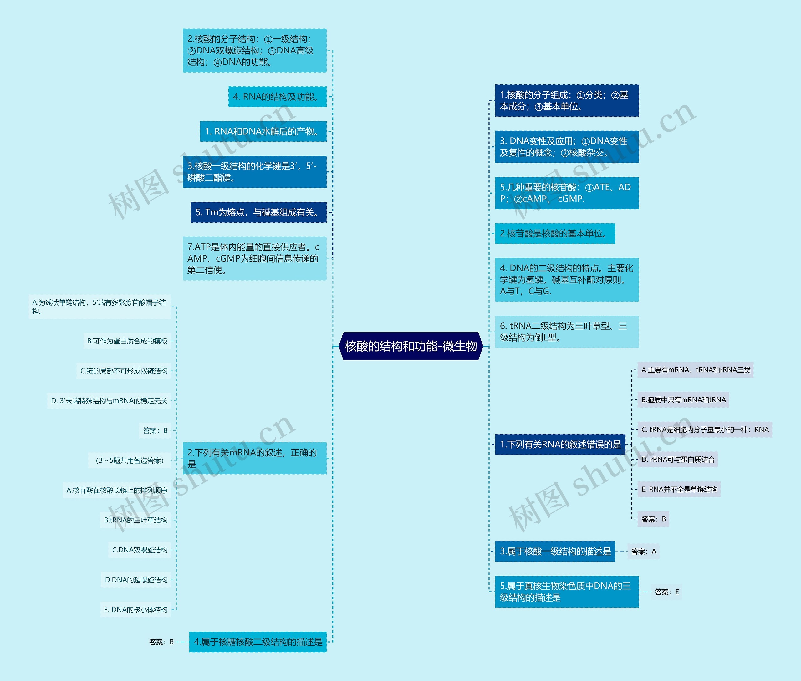 核酸的结构和功能-微生物 核酸的结构和功能-微生物