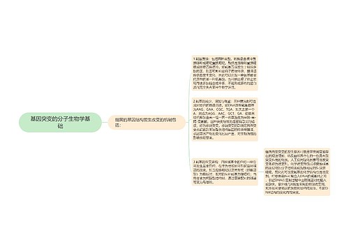 基因突变的分子生物学基础