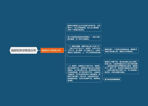 胸部的矢状断面分析