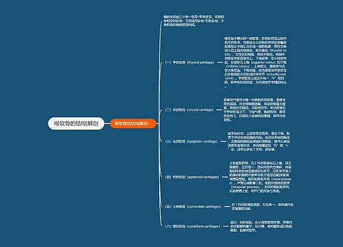 喉软骨的结构|解剖