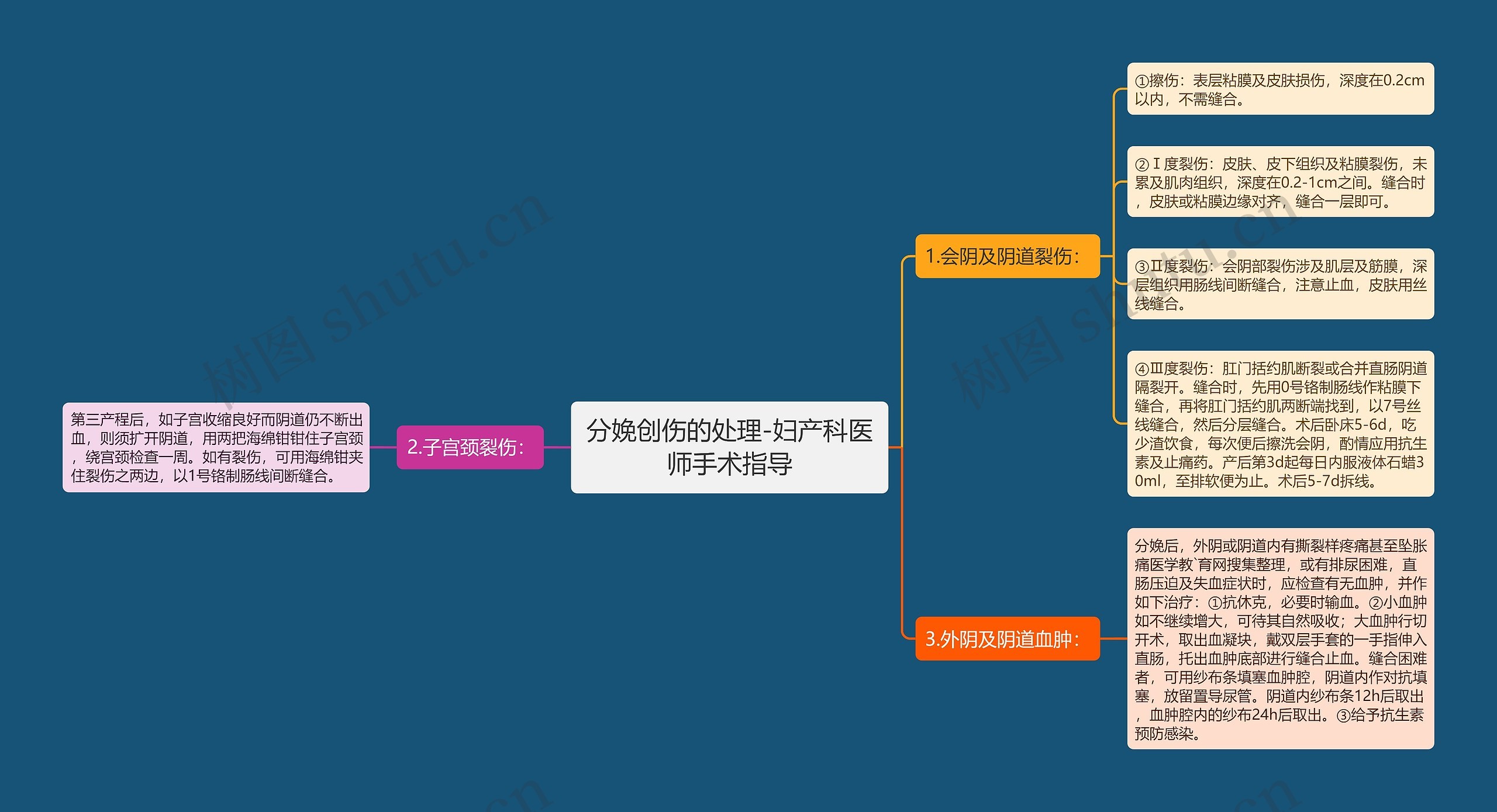 分娩创伤的处理-妇产科医师手术指导