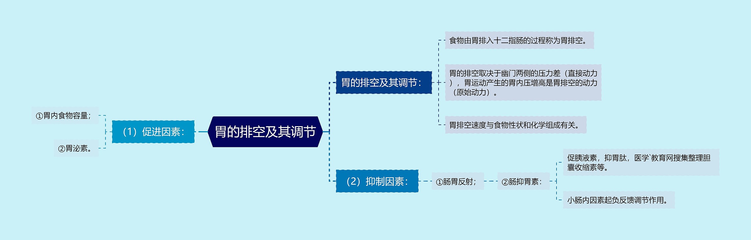 胃的排空及其调节