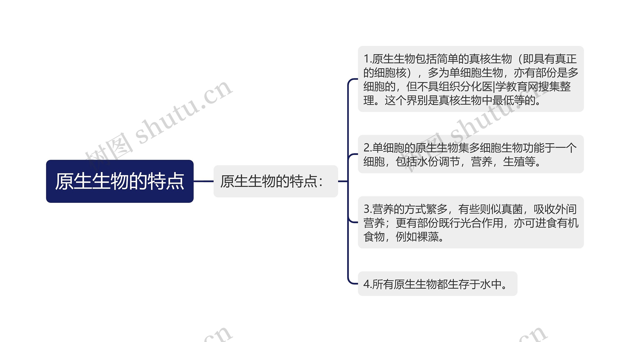 原生生物的特点思维导图