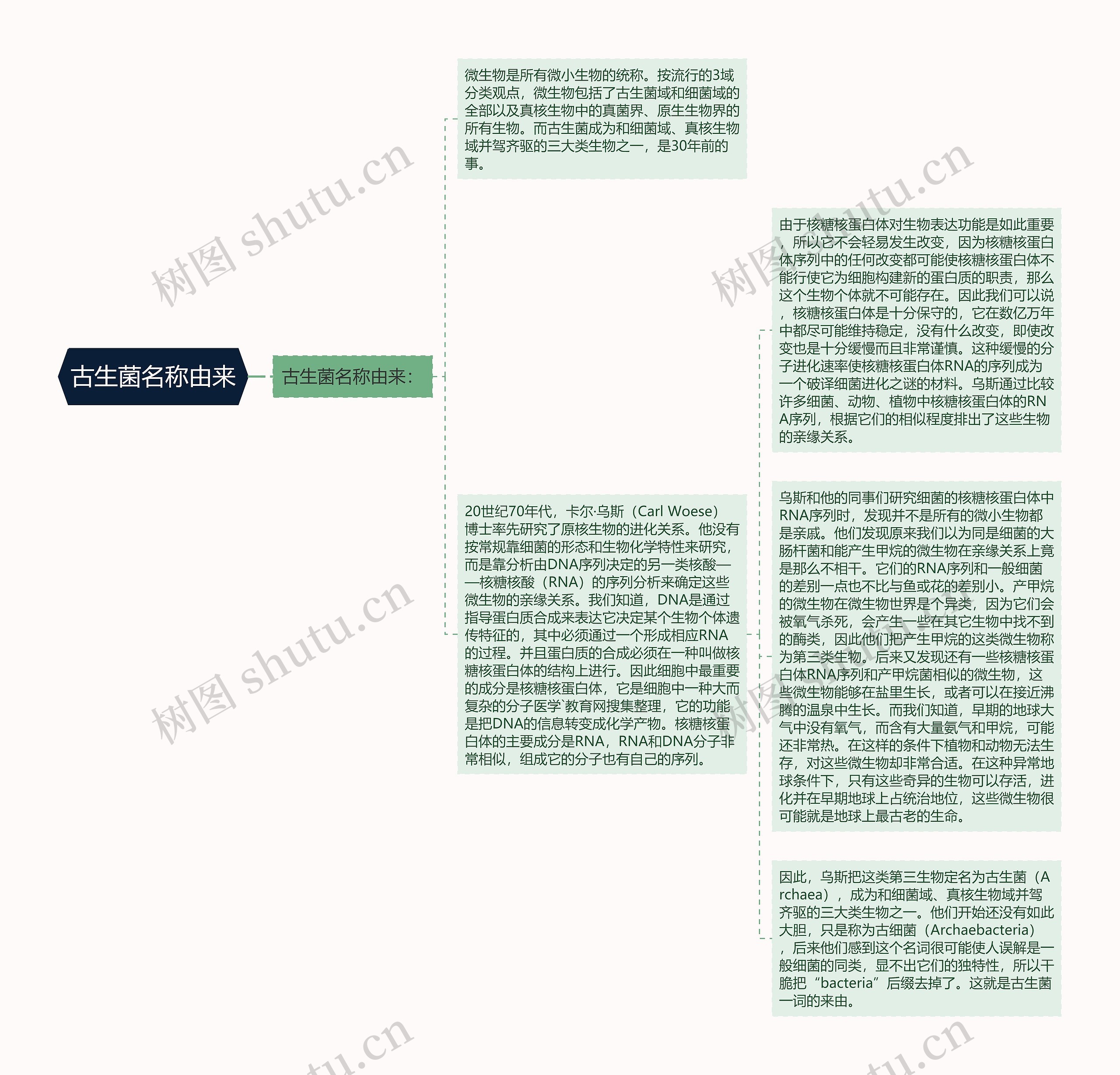 古生菌名称由来 古生菌名称由来