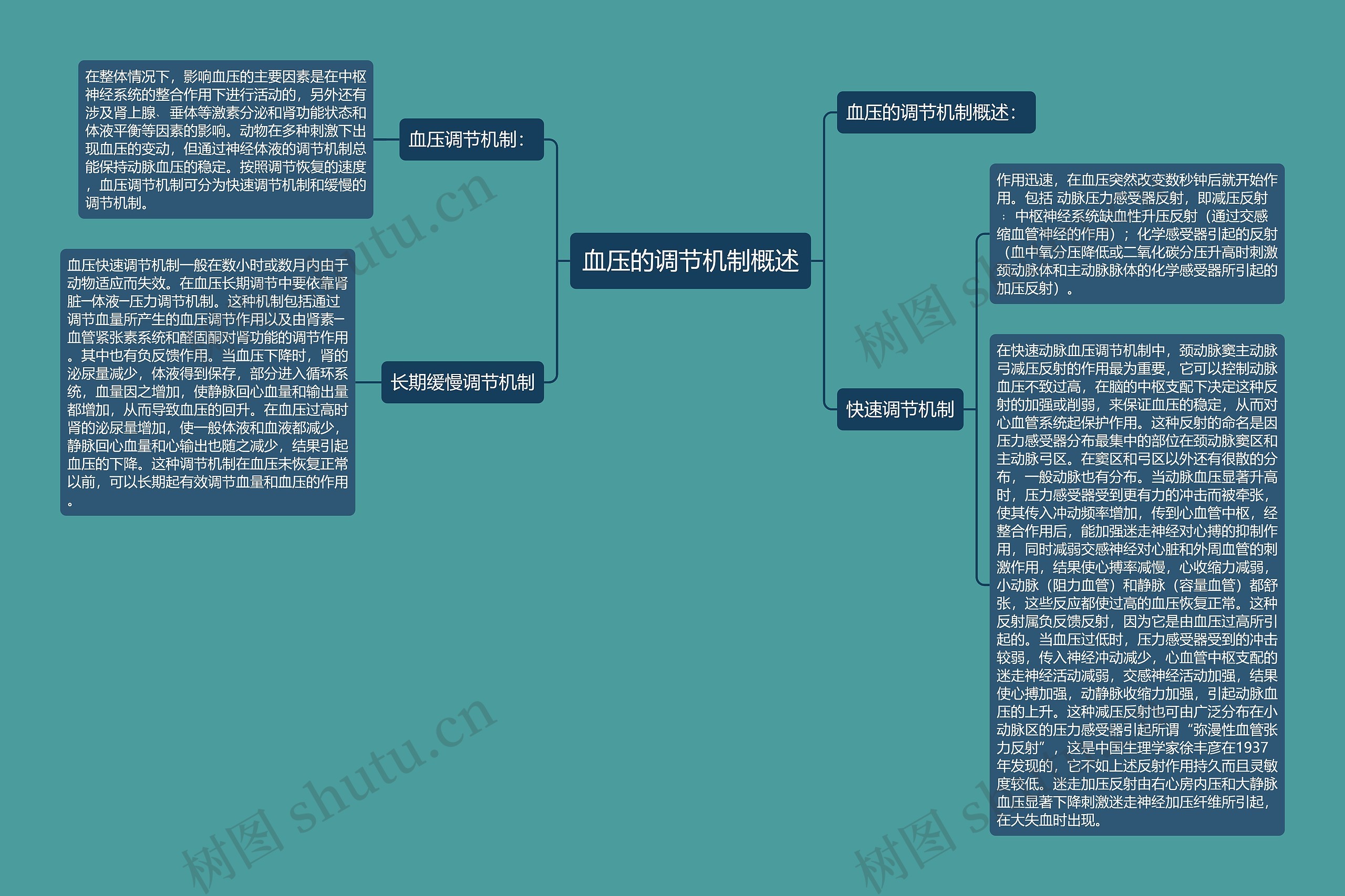 血压的调节机制概述 血压的调节机制概述