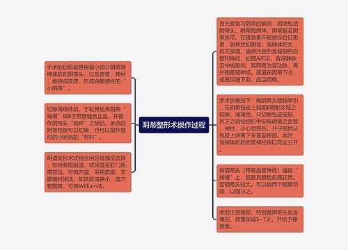 阴蒂整形术操作过程