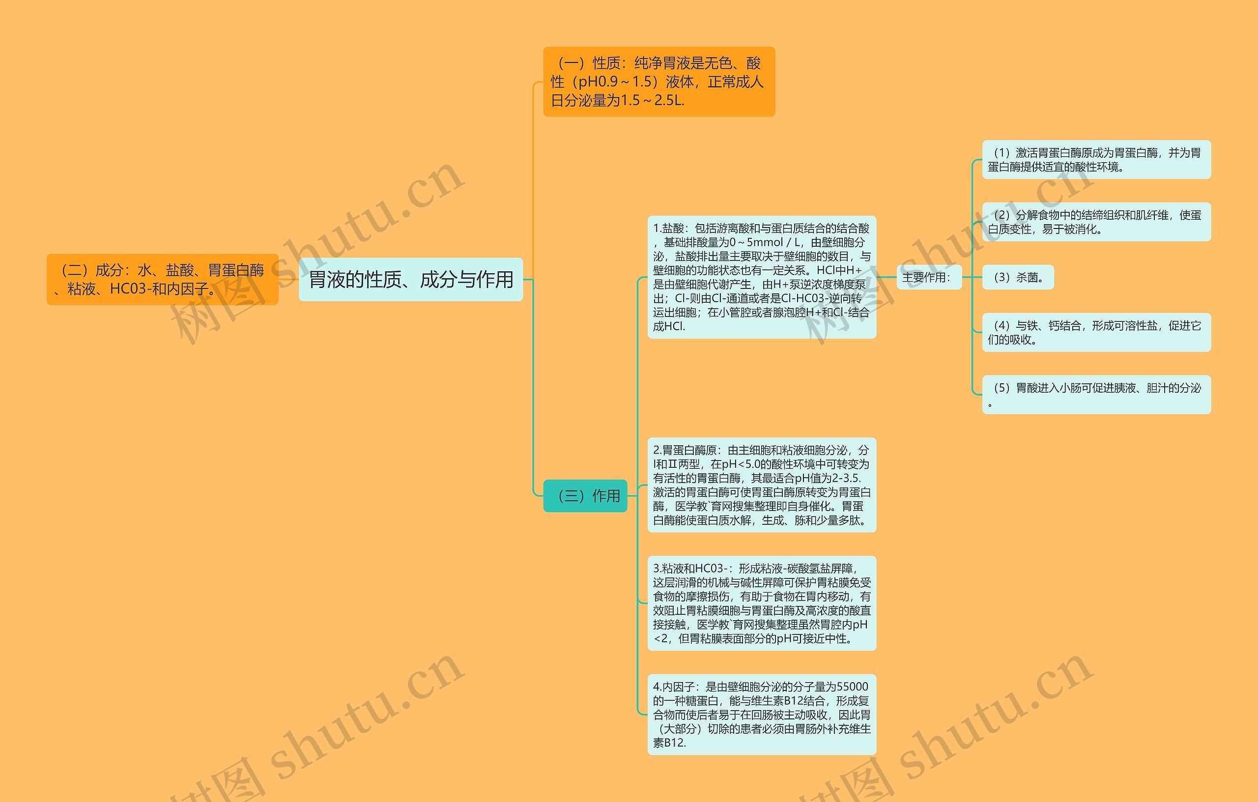 胃液的性质、成分与作用思维导图