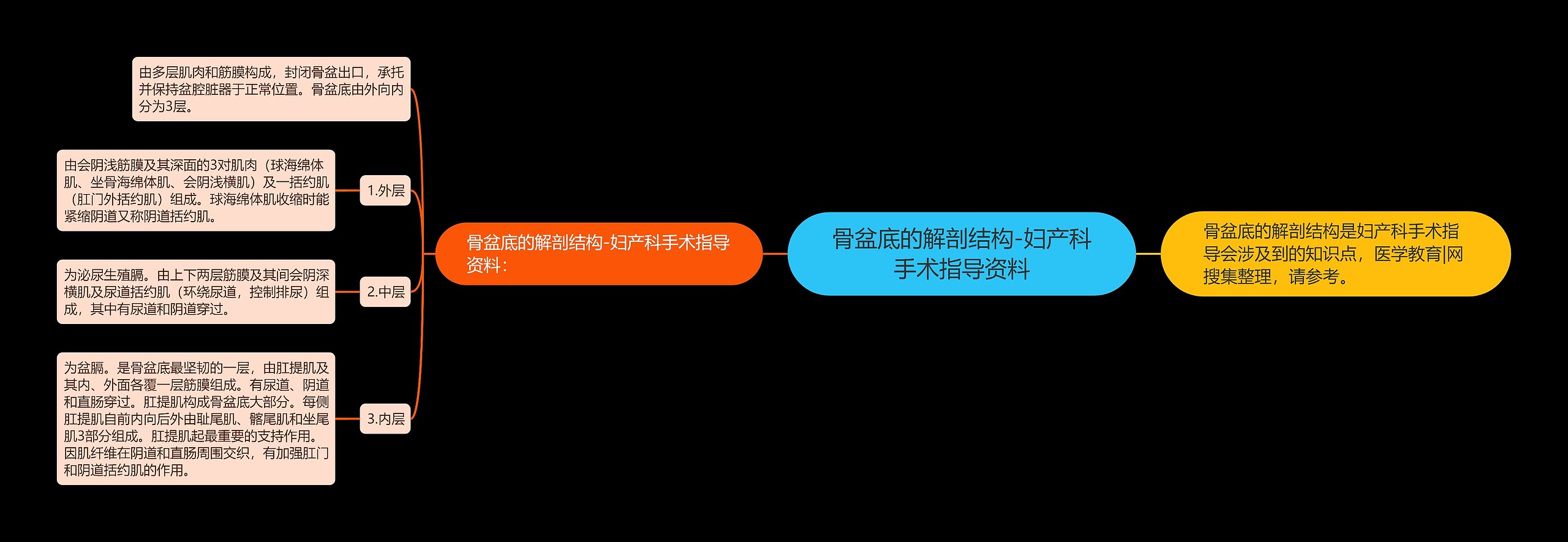 骨盆底的解剖结构-妇产科手术指导资料