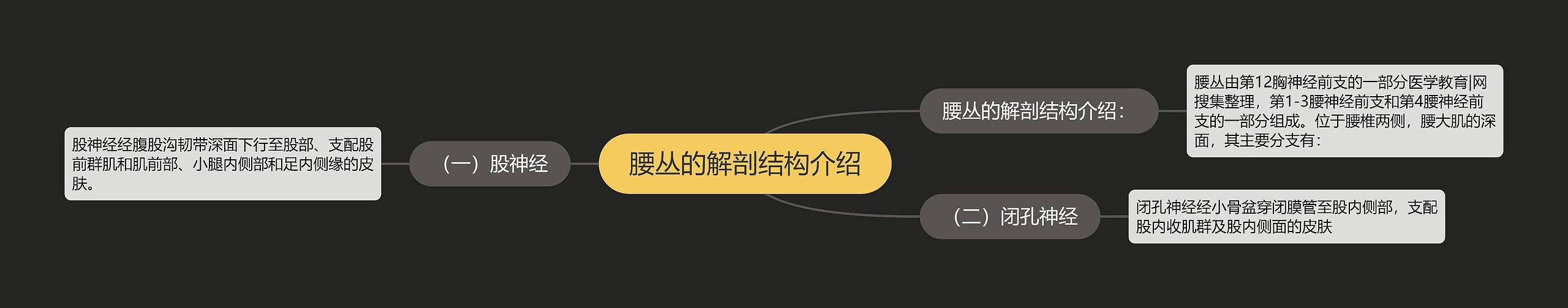 腰丛的解剖结构介绍思维导图