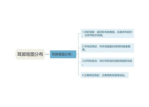 耳郭背面分布