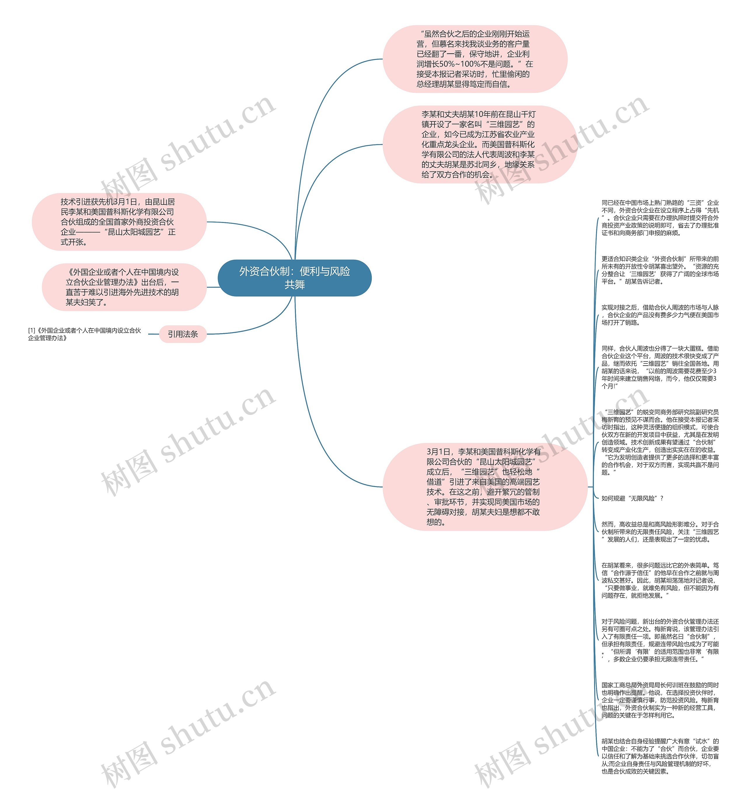 外资合伙制：便利与风险共舞思维导图