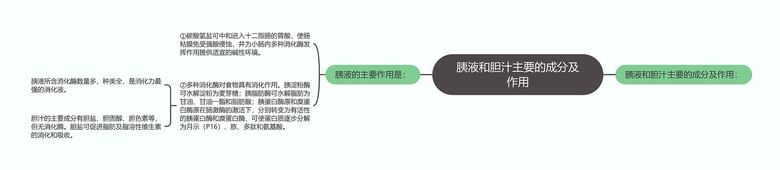 胰液和胆汁主要的成分及作用思维导图