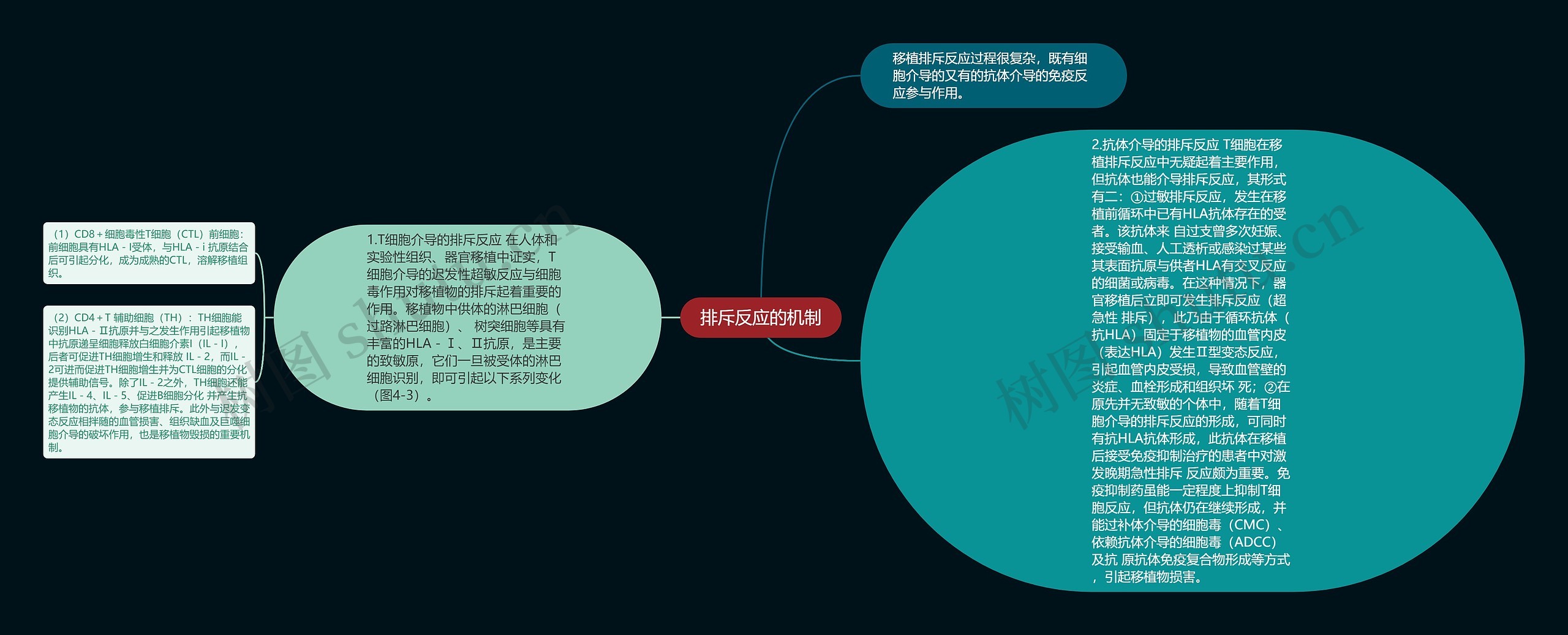 排斥反应的机制