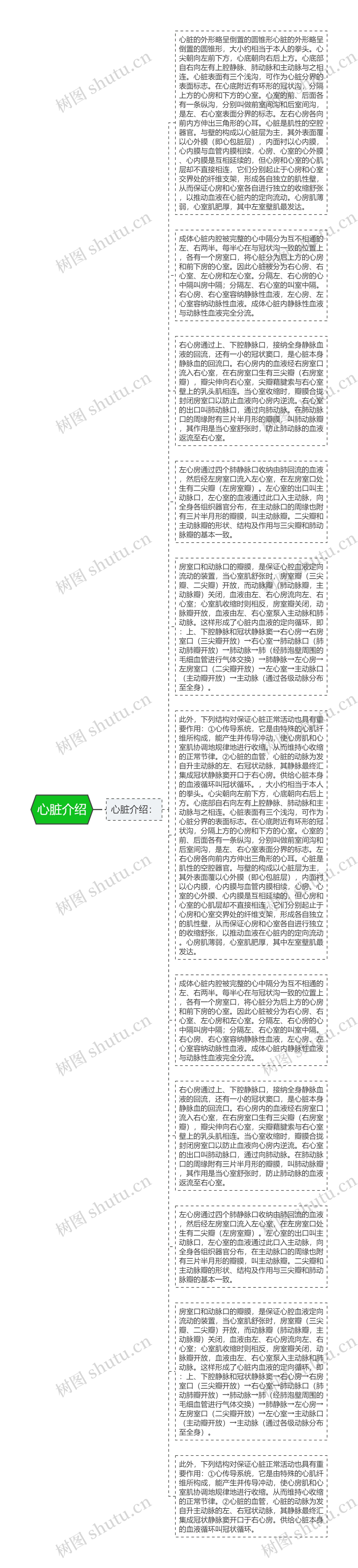 心脏介绍思维导图