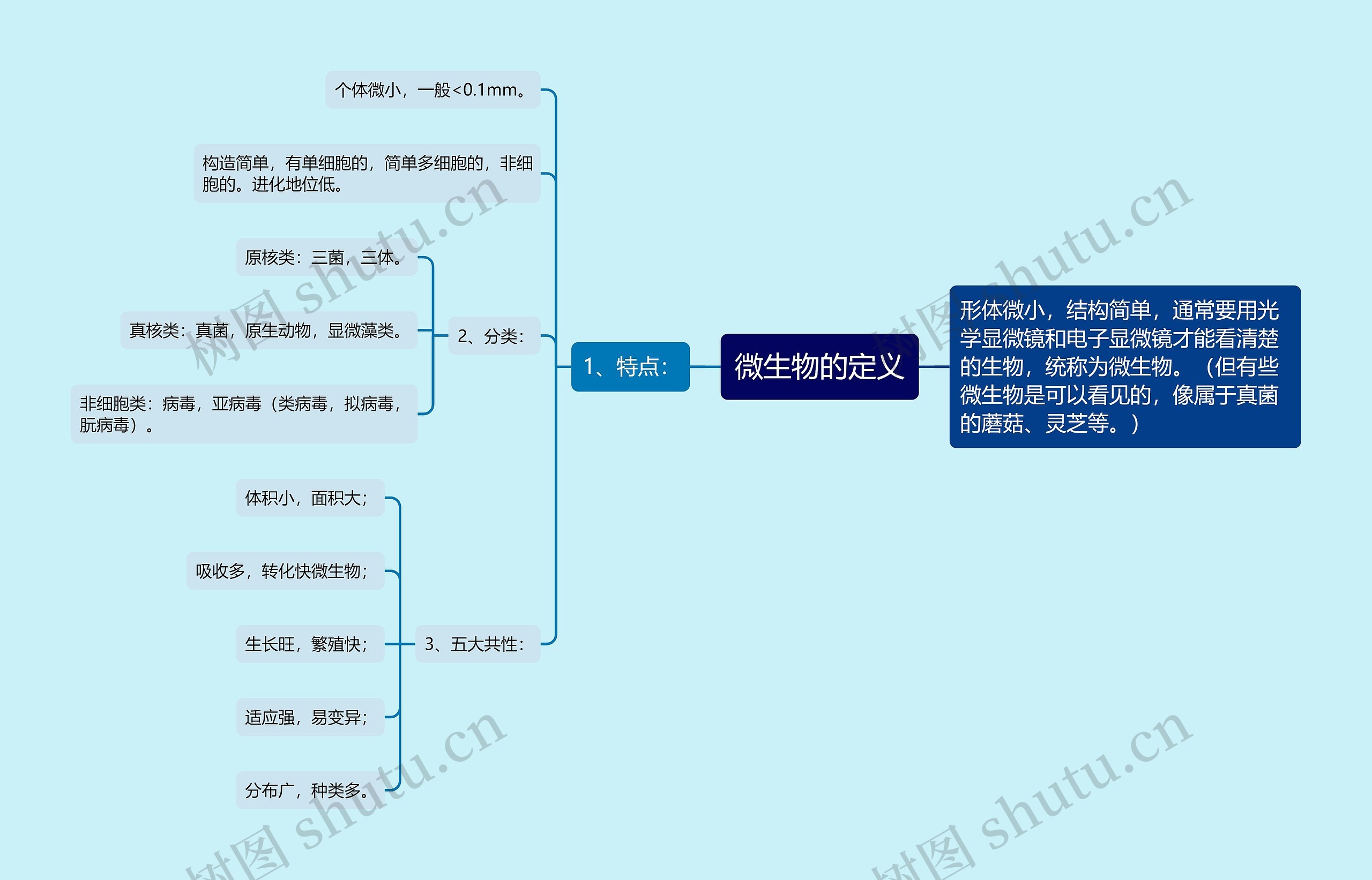 微生物的定义思维导图