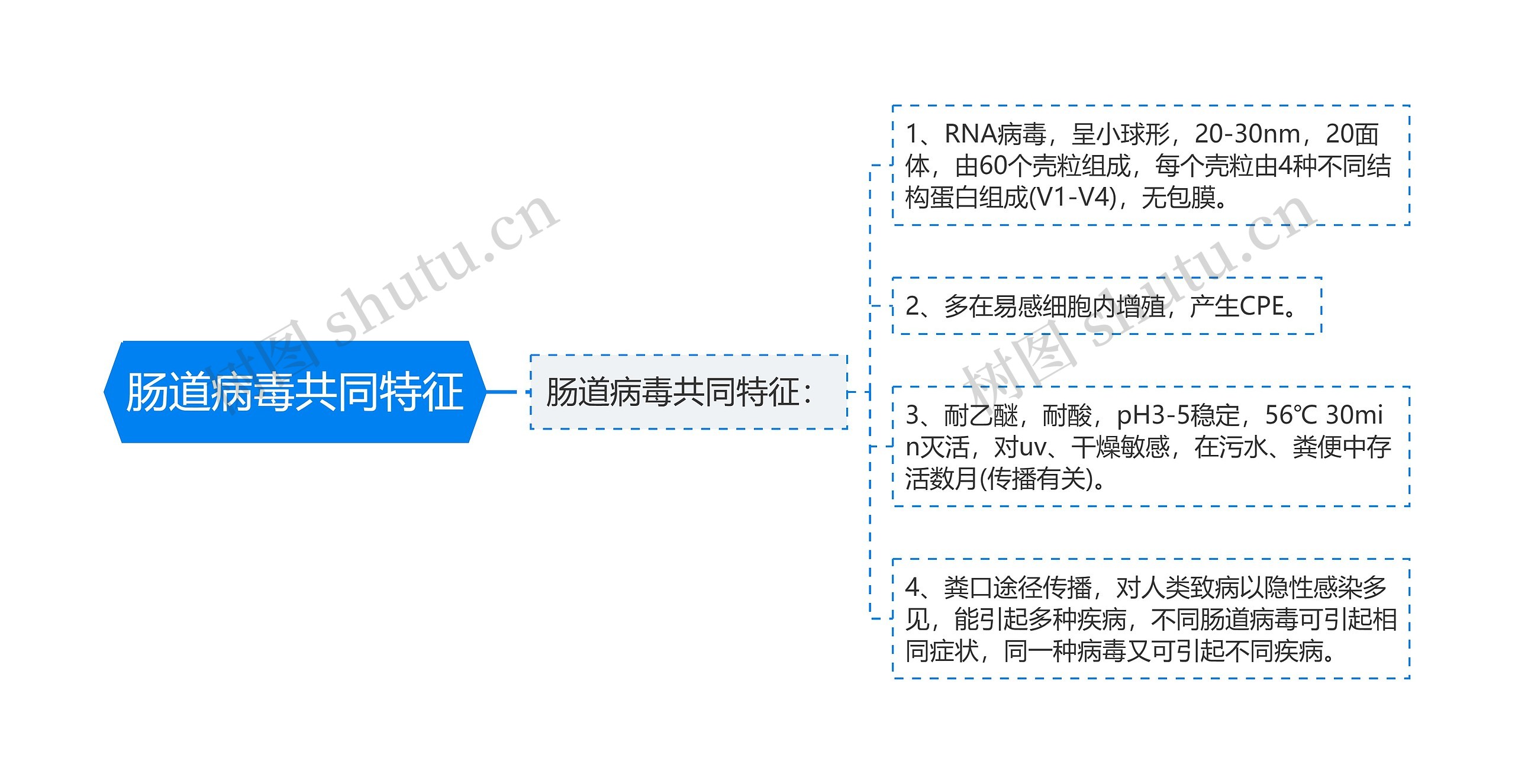 肠道病毒共同特征